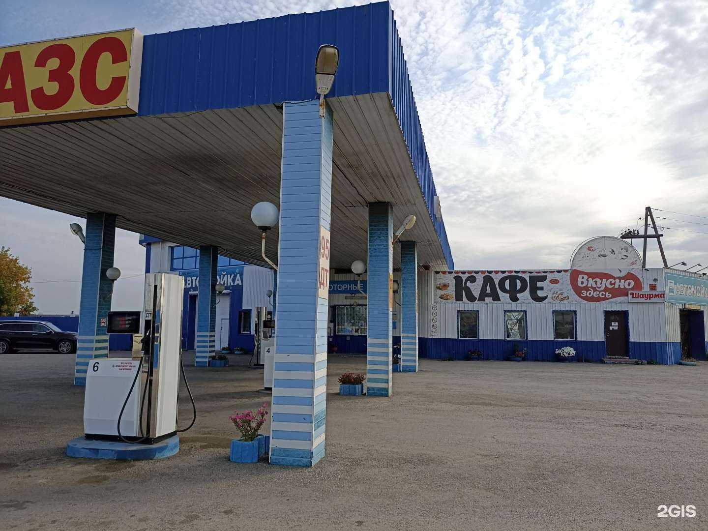 Отзывы на компанию Пельмешка в Тюмени c фото - фотография 2 из 2