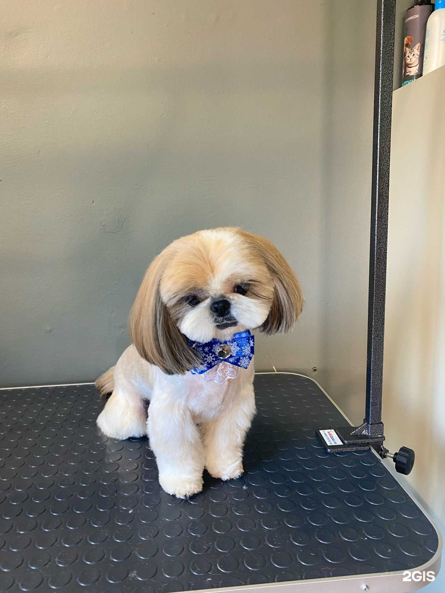 Отзывы на компанию Гармония в г. Калининград c фото