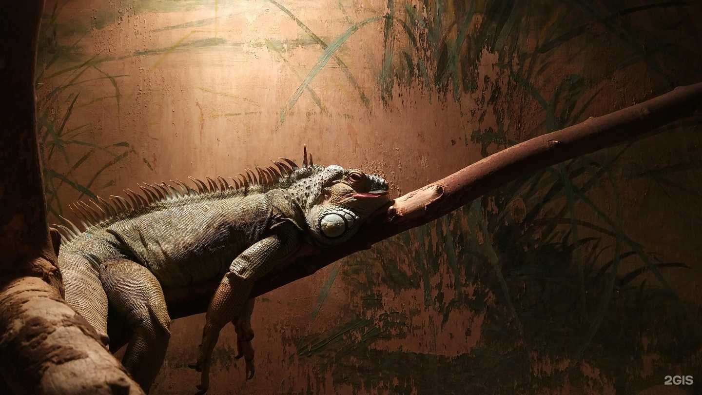 Отзывы на компанию Акватеррариум в г. Пермь c фото