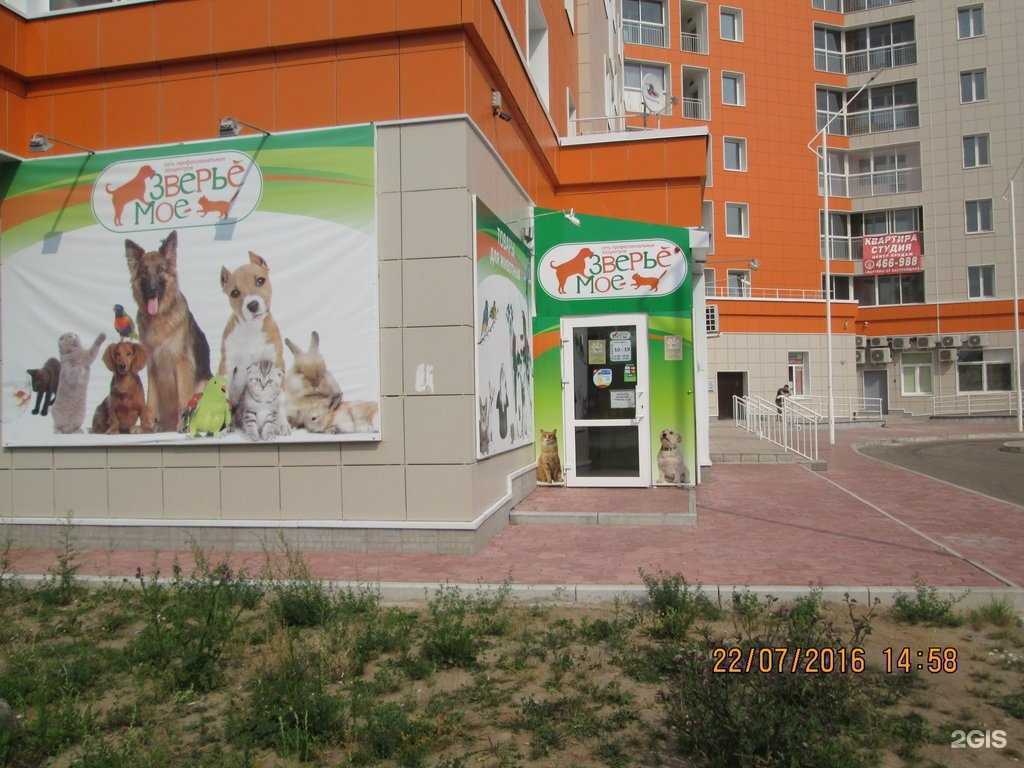 Отзывы на компанию Зверье Мое в Сыктывкаре c фото