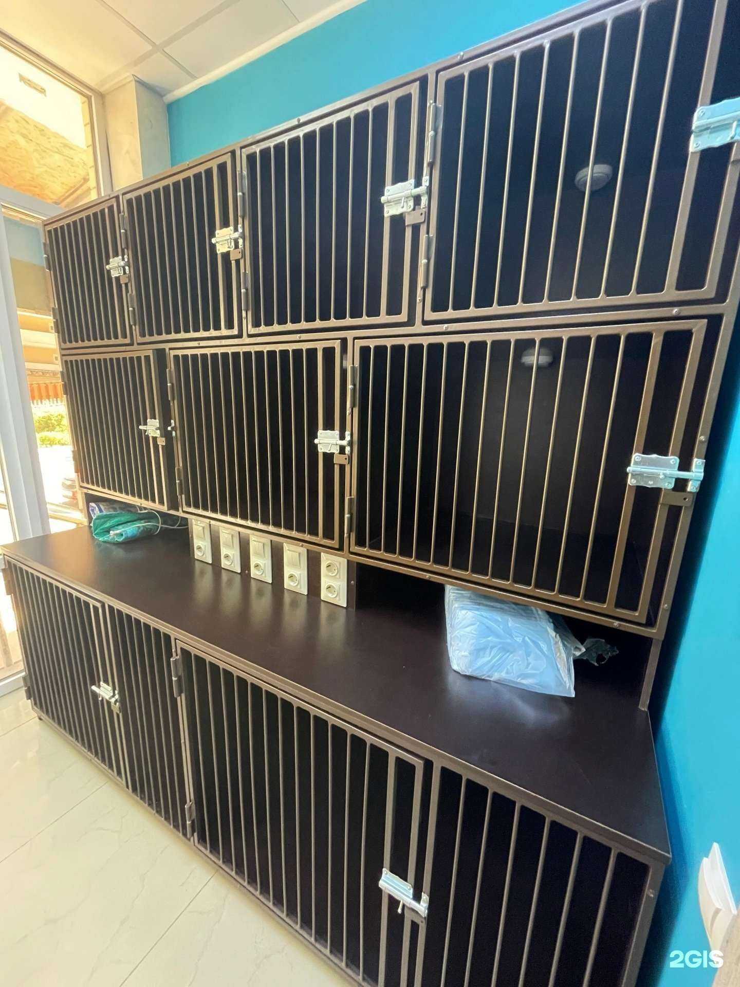 Отзывы на компанию Pat a pet в г. Краснодар c фото