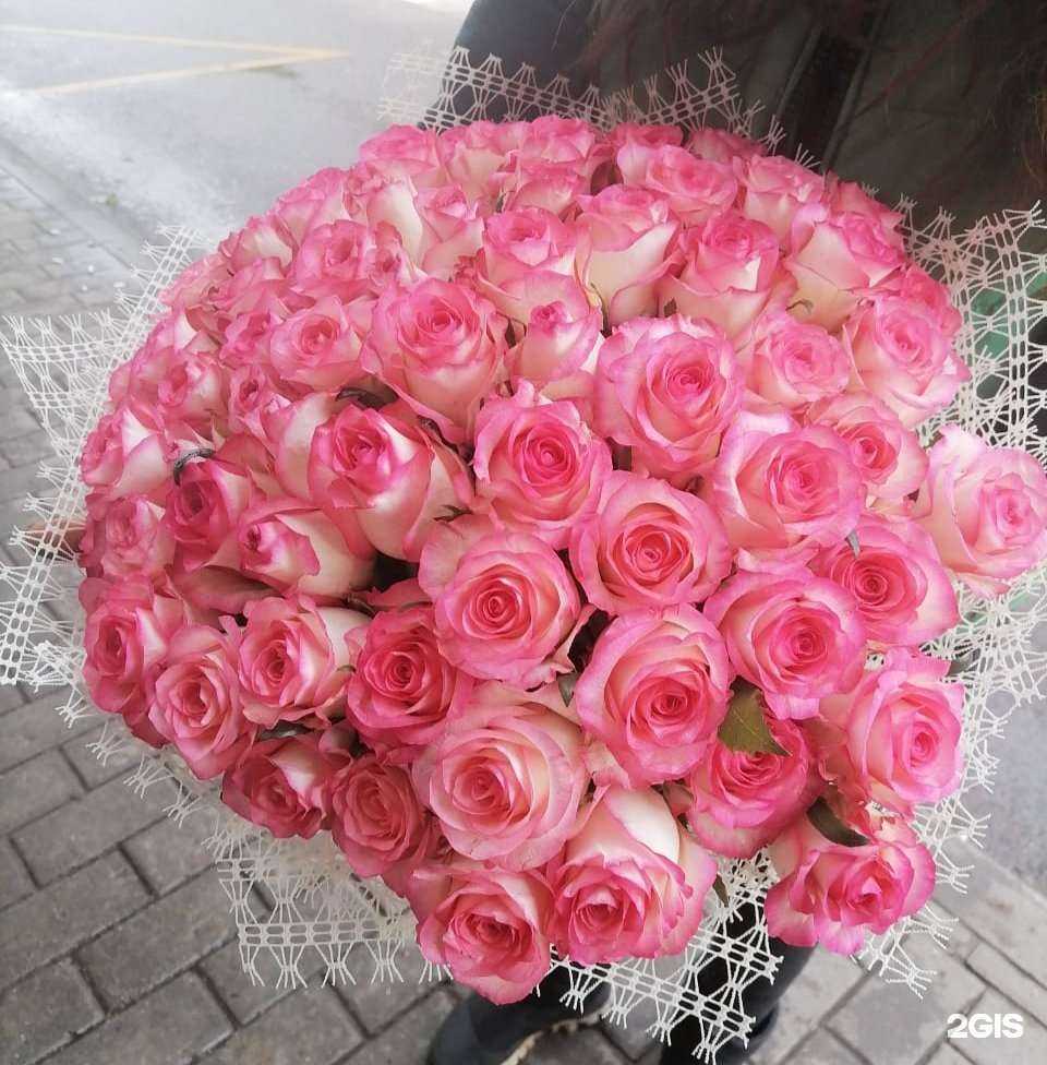 Отзывы на компанию Магнолия в Воронеже c фото