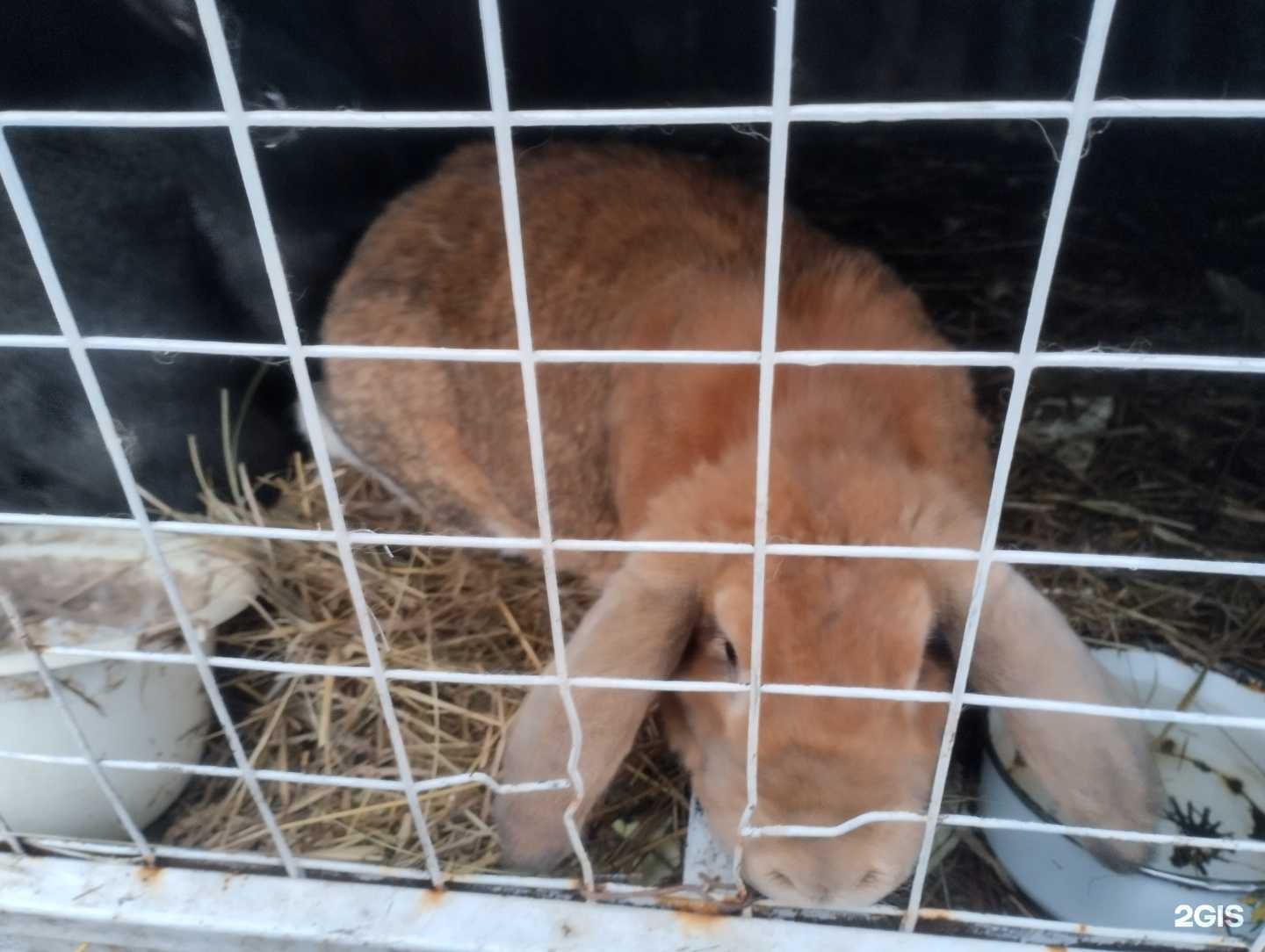 Отзывы на компанию Спартак в Воронеже c фото