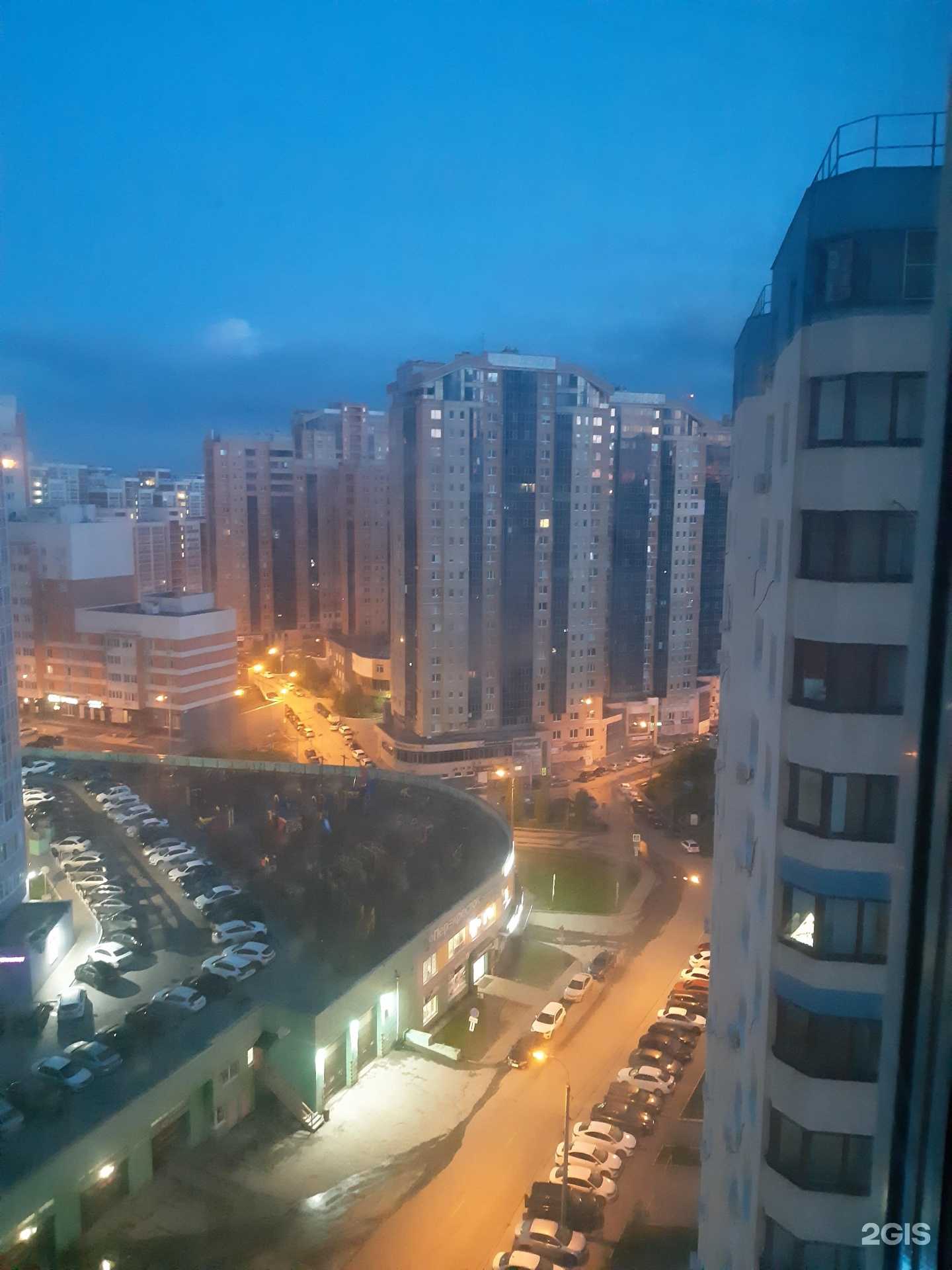 Отзывы на компанию Заморские котики в Самаре c фото - фотография 2 из 2