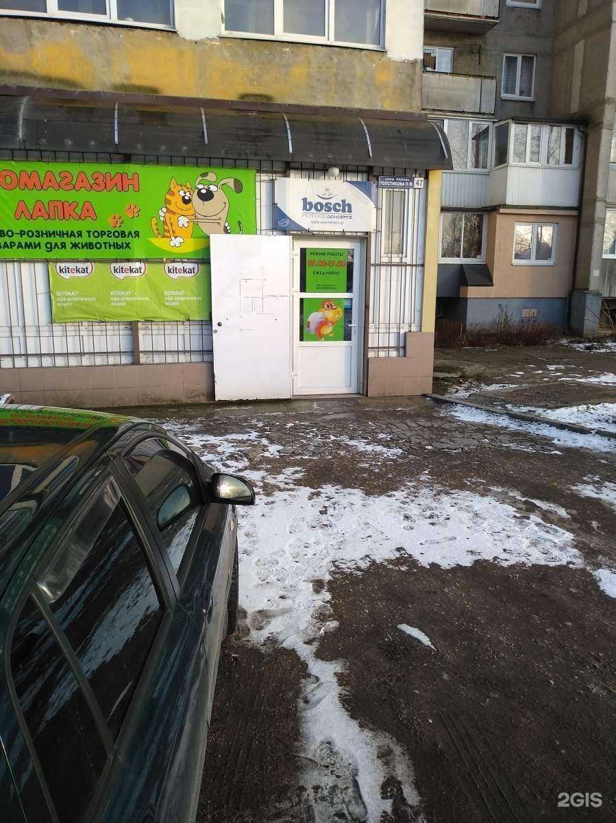 Отзывы на компанию Лапка в Калининграде c фото