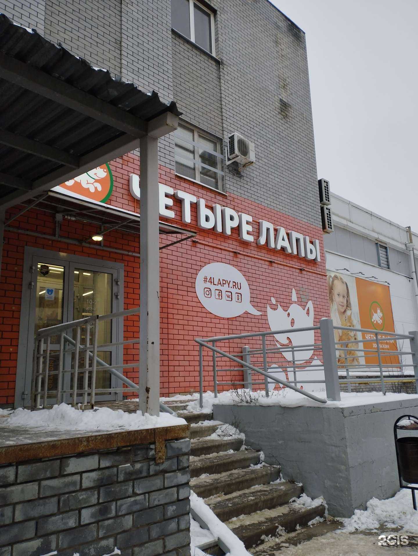 Отзывы на компанию Четыре лапы в Боре c фото