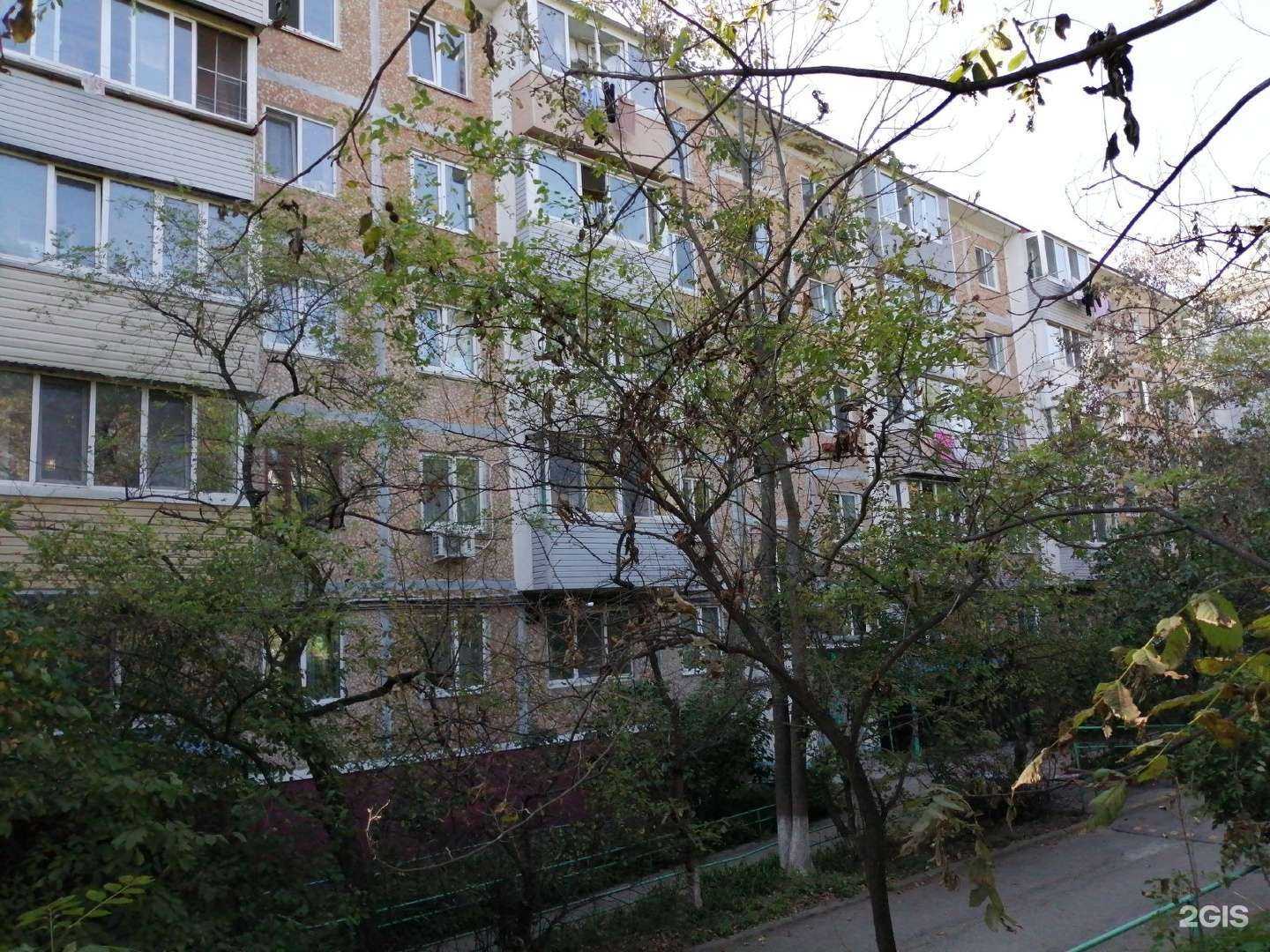 Отзывы на компанию Домовой в Владивостоке c фото - фотография 2 из 2