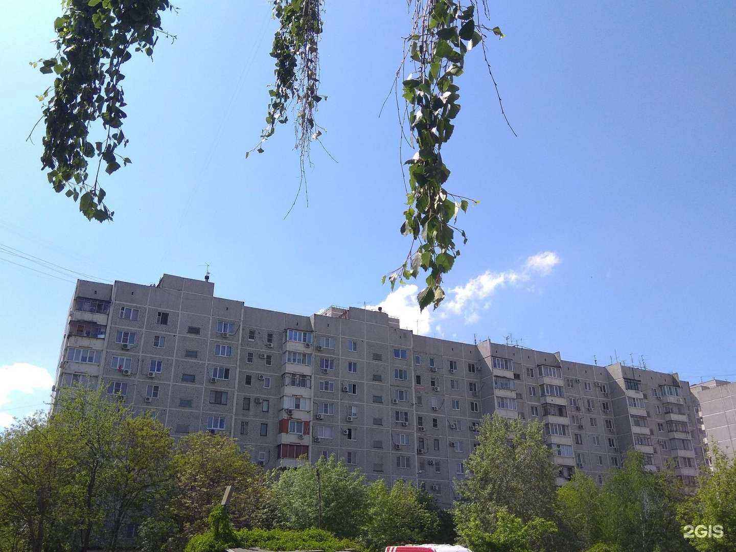 Отзывы на компанию Pro ноготки в г. Краснодар c фото
