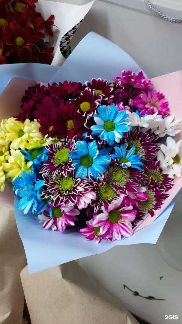 Отзывы на компанию Цвет`Ок в г. Сибай c фото