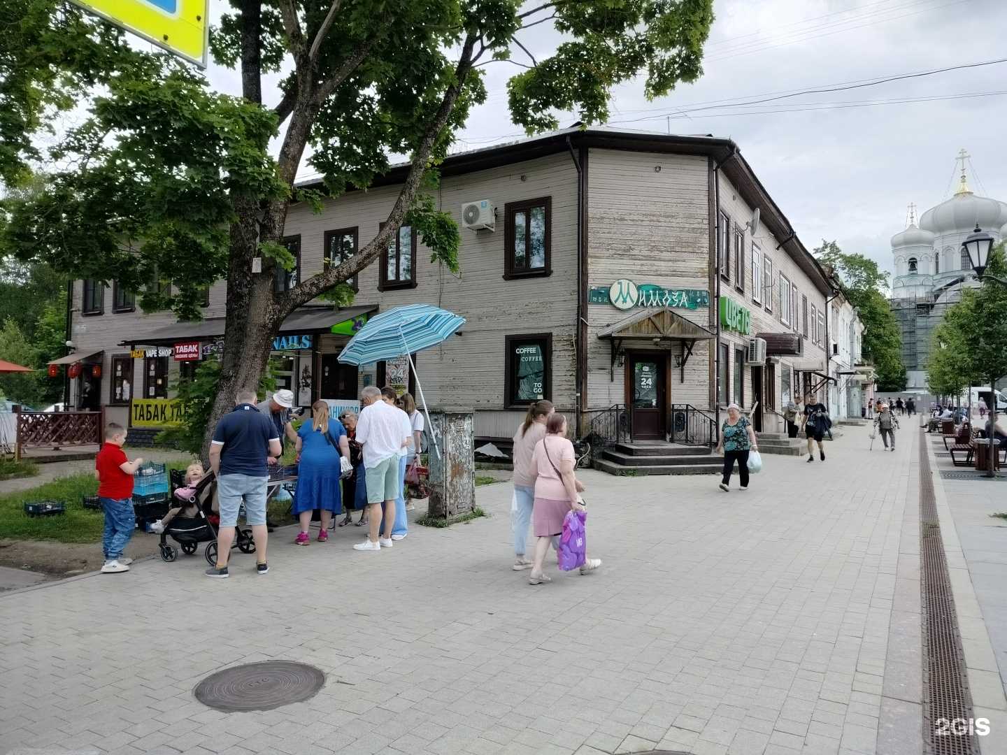 Отзывы на компанию Мимоза в Гатчине c фото - фотография 2 из 2