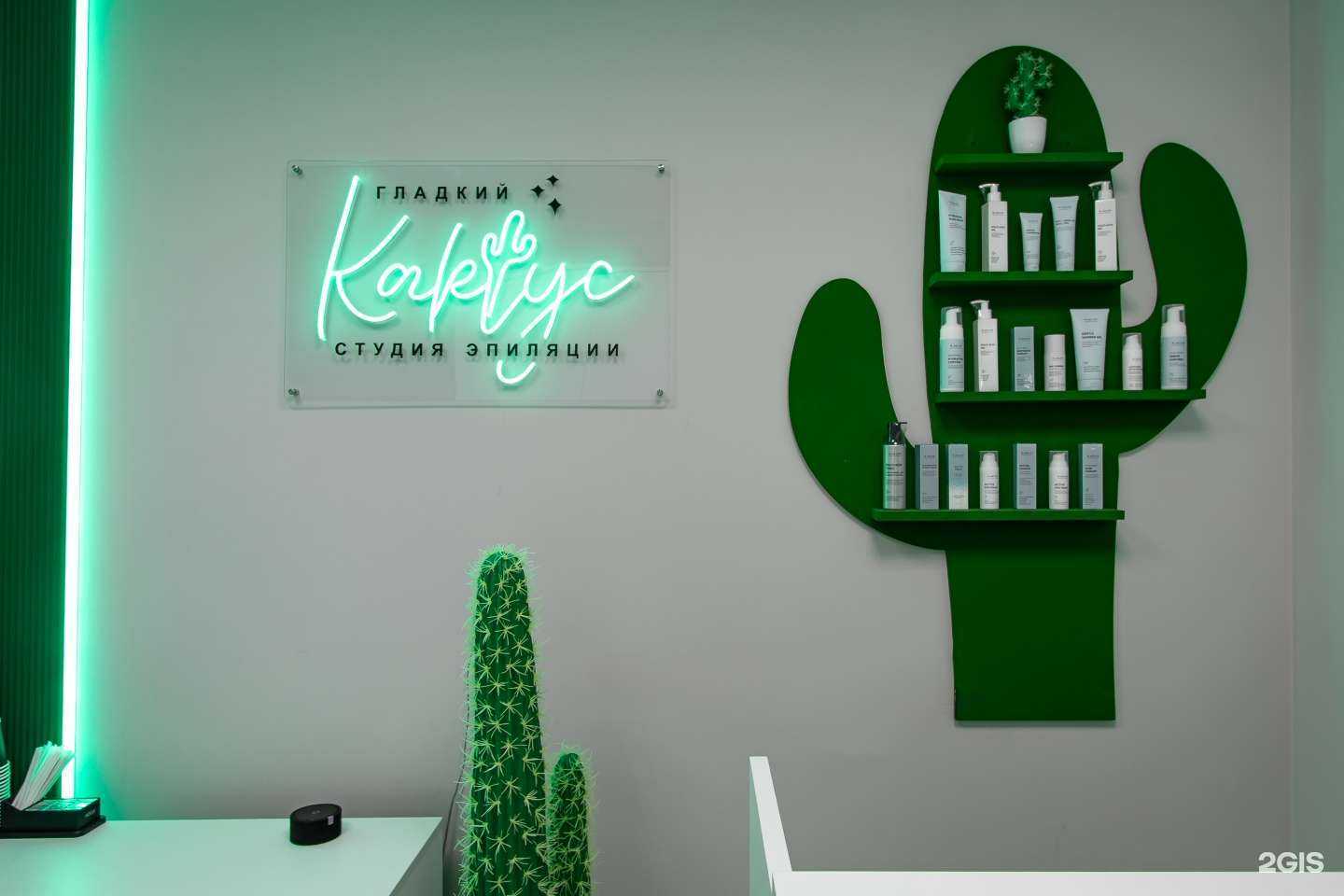 Отзывы на компанию Гладкий кактус в Ульяновске c фото