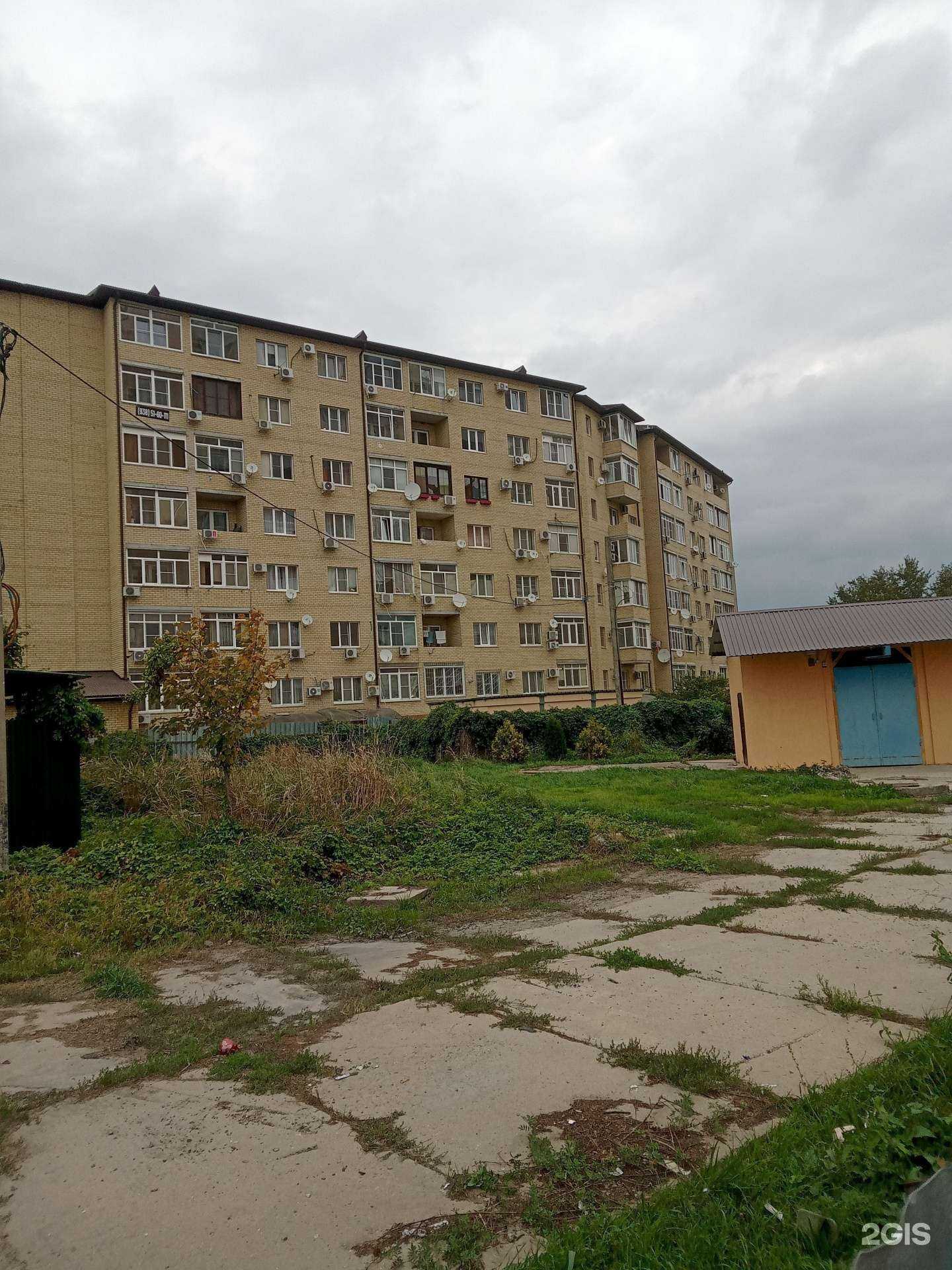 Отзывы на компанию Кошкин дом в Краснодаре c фото - фотография 2 из 2