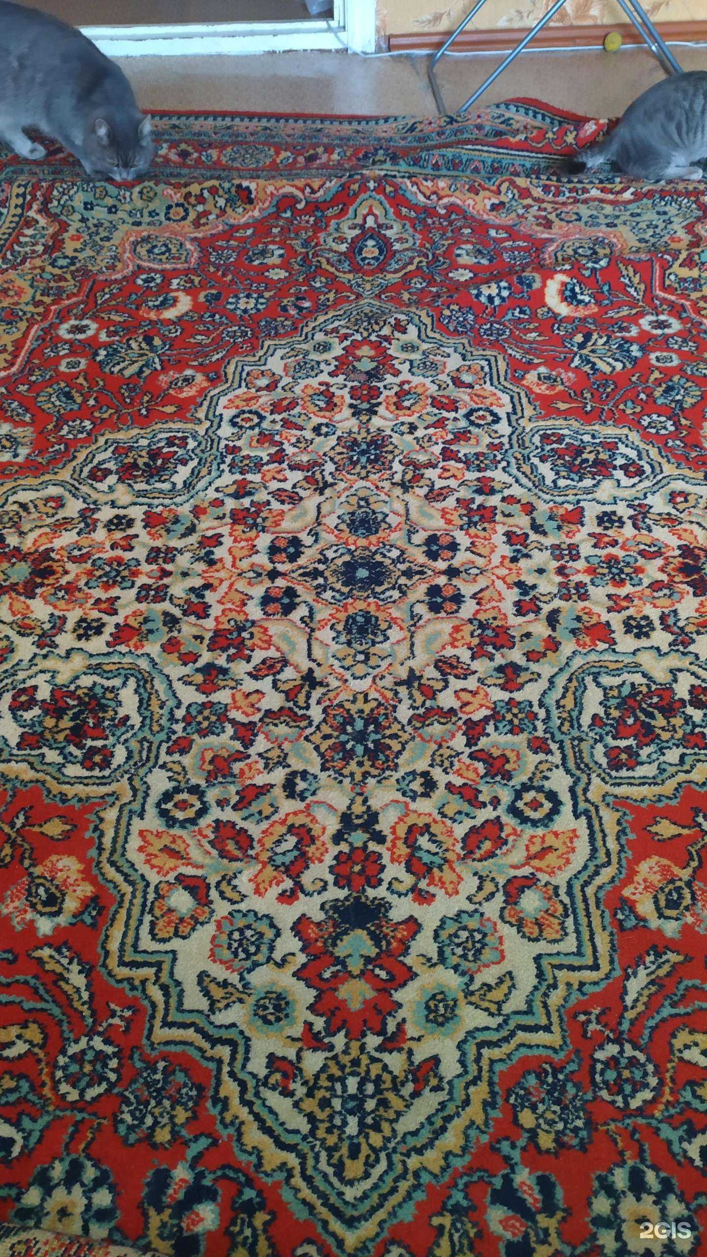 Отзывы на компанию Новинка в г. Тамбов c фото