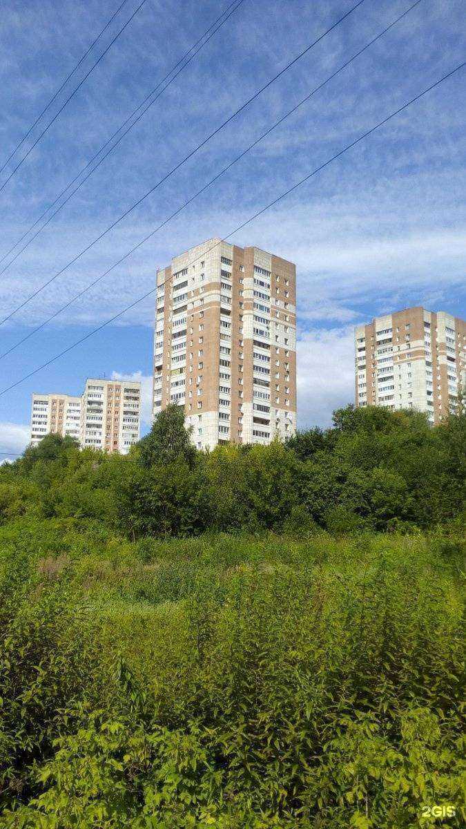 Отзывы на компанию 59Sharov в Перми c фото - фотография 2 из 2