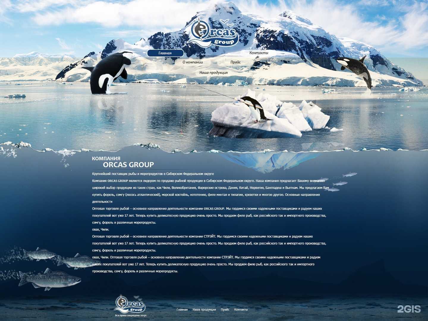 Отзывы на компанию Информационные Решения Сибири в Новосибирске c фото