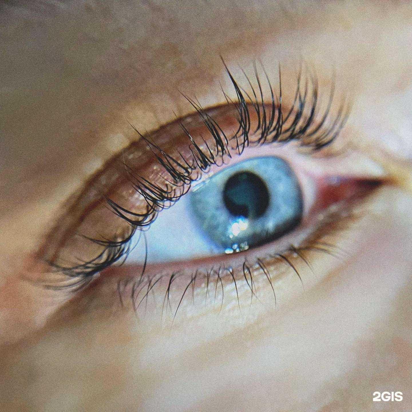 Отзывы на компанию В центре внимания в Белгороде c фото