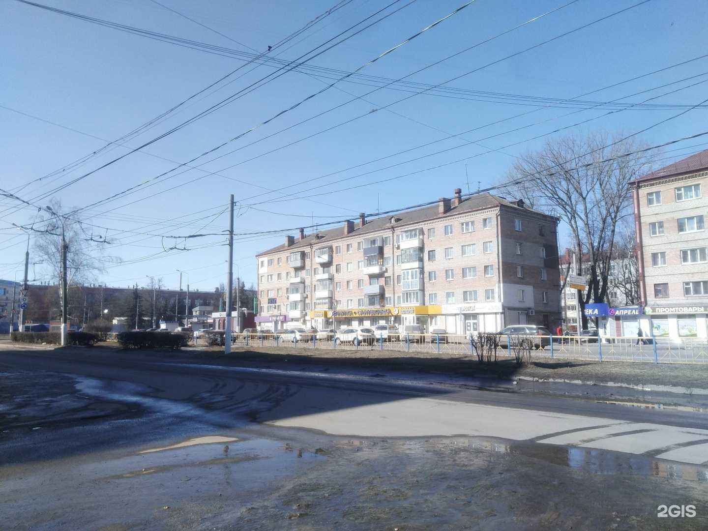 Отзывы на компанию ZooТека в Брянске c фото - фотография 2 из 2