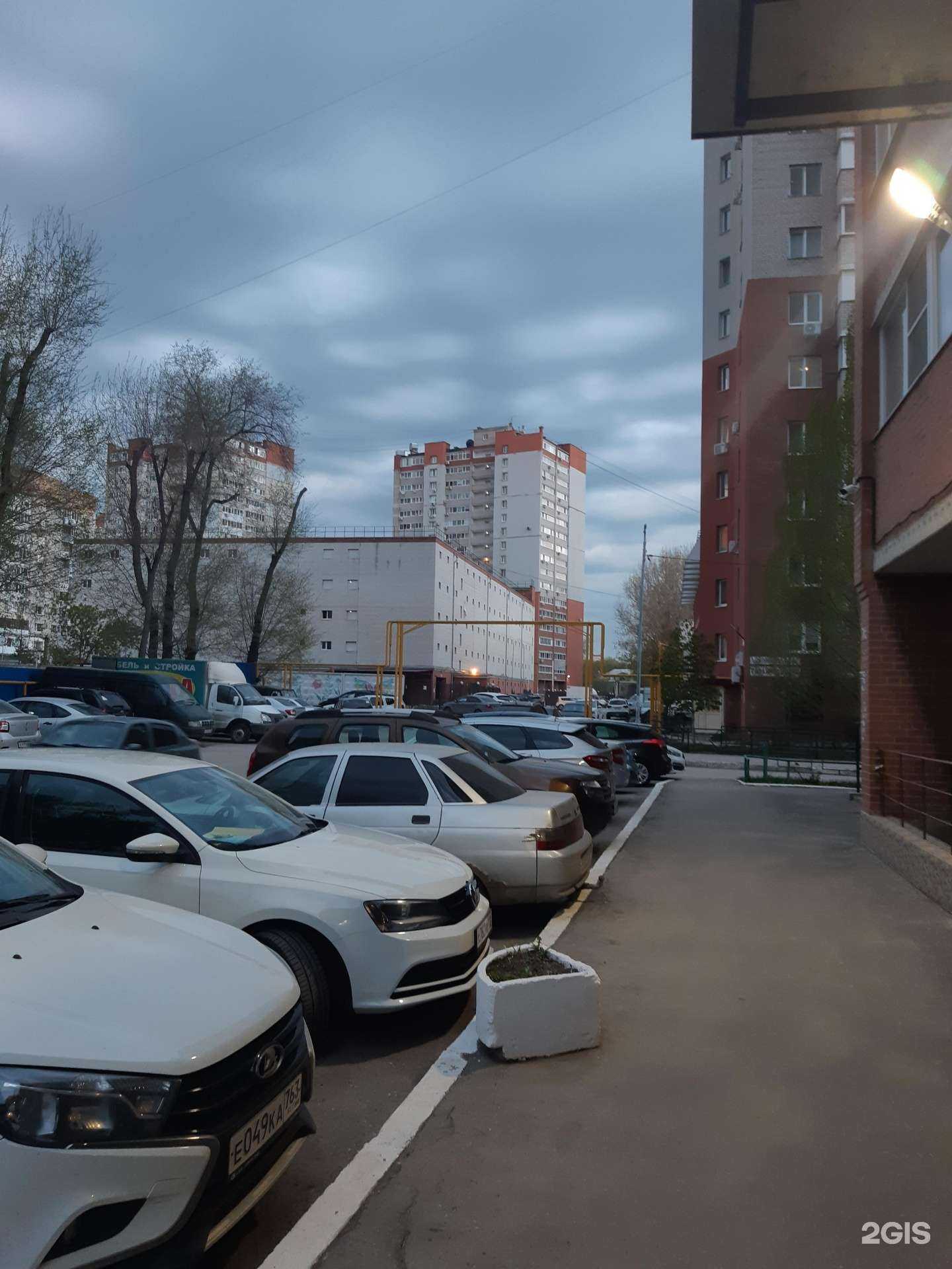 Отзывы на компанию Dogpride в Самаре c фото - фотография 2 из 2