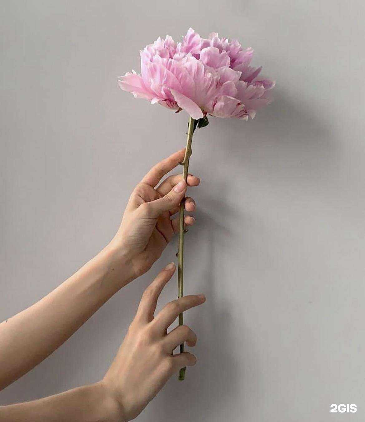 Отзывы на компанию Laser Space в Владивостоке c фото