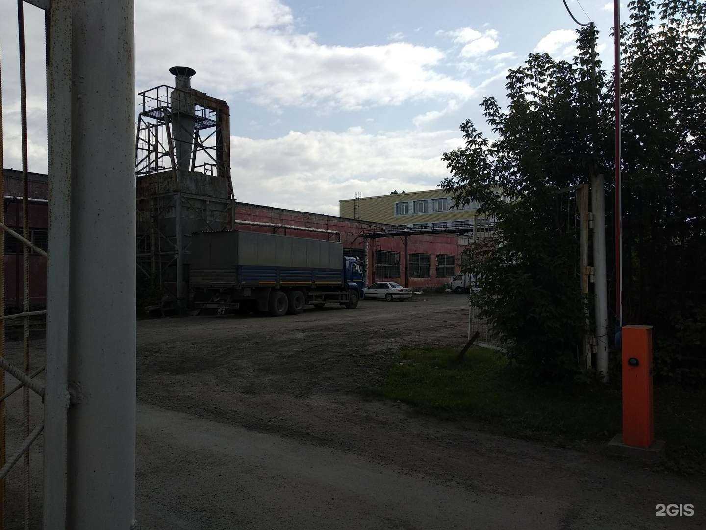 Отзывы на компанию Медведь в Кемерове c фото - фотография 2 из 2