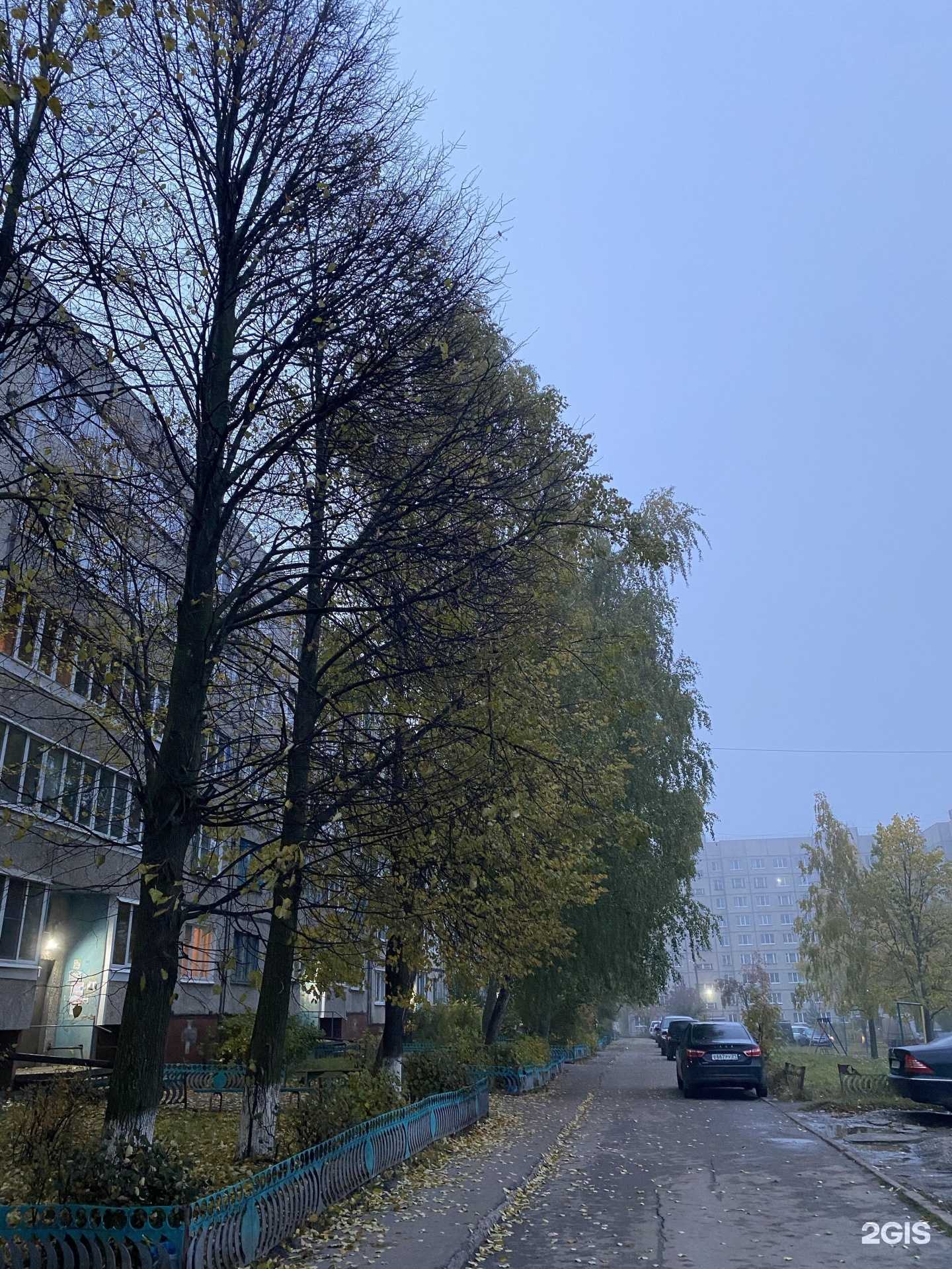 Отзывы на компанию Магия в Канаше c фото