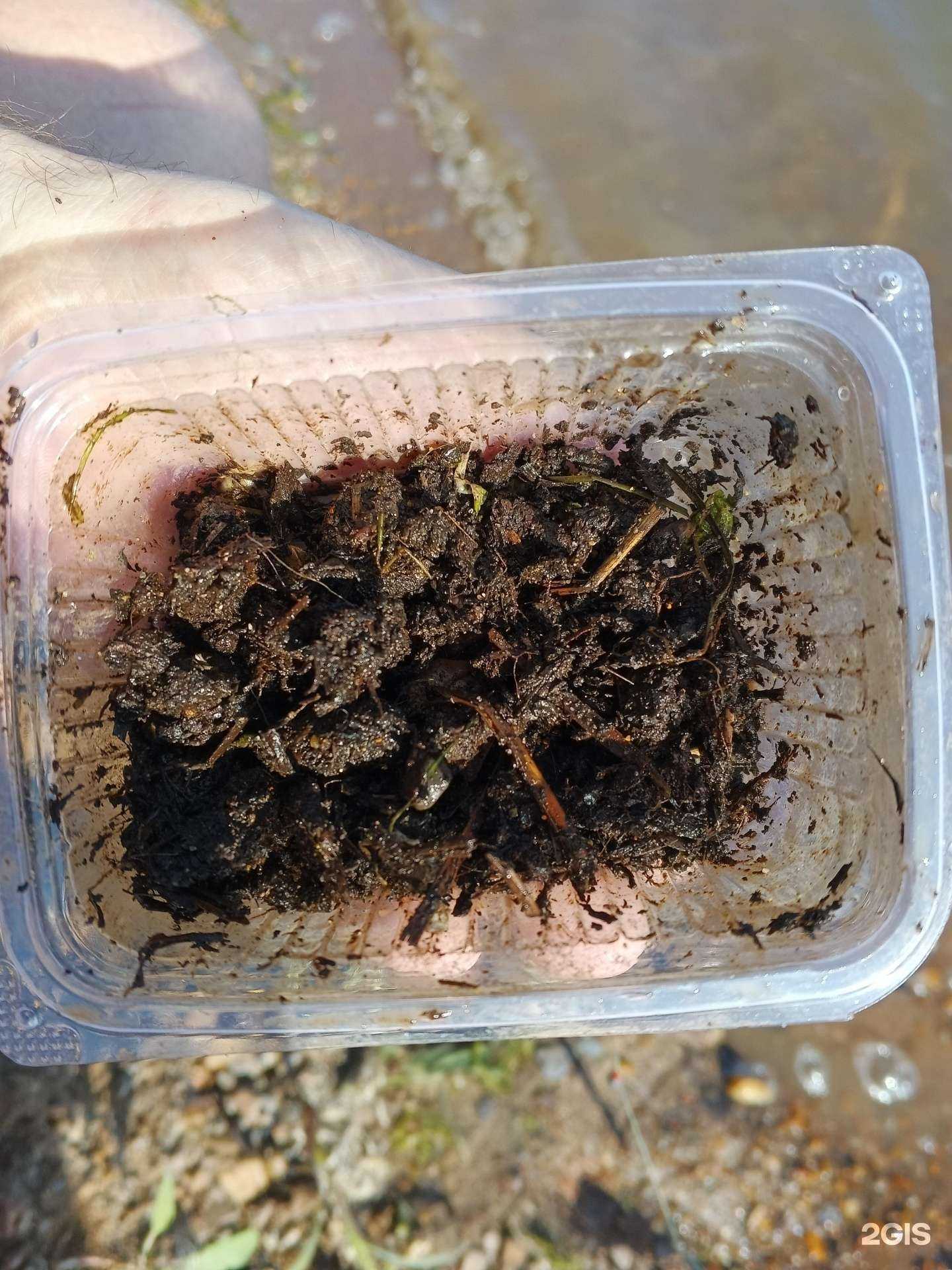 Отзывы на компанию Рыбалка и отдых в г. Уфа c фото