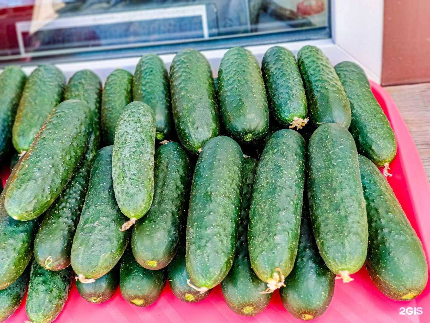 Отзывы на компанию Сельский уголок в г. Курган c фото