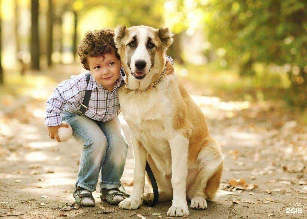 Отзывы на компанию Амикус вет в г. Люберцы c фото