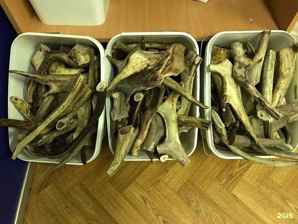 Отзывы на компанию Urban Tramp в Одинцове c фото