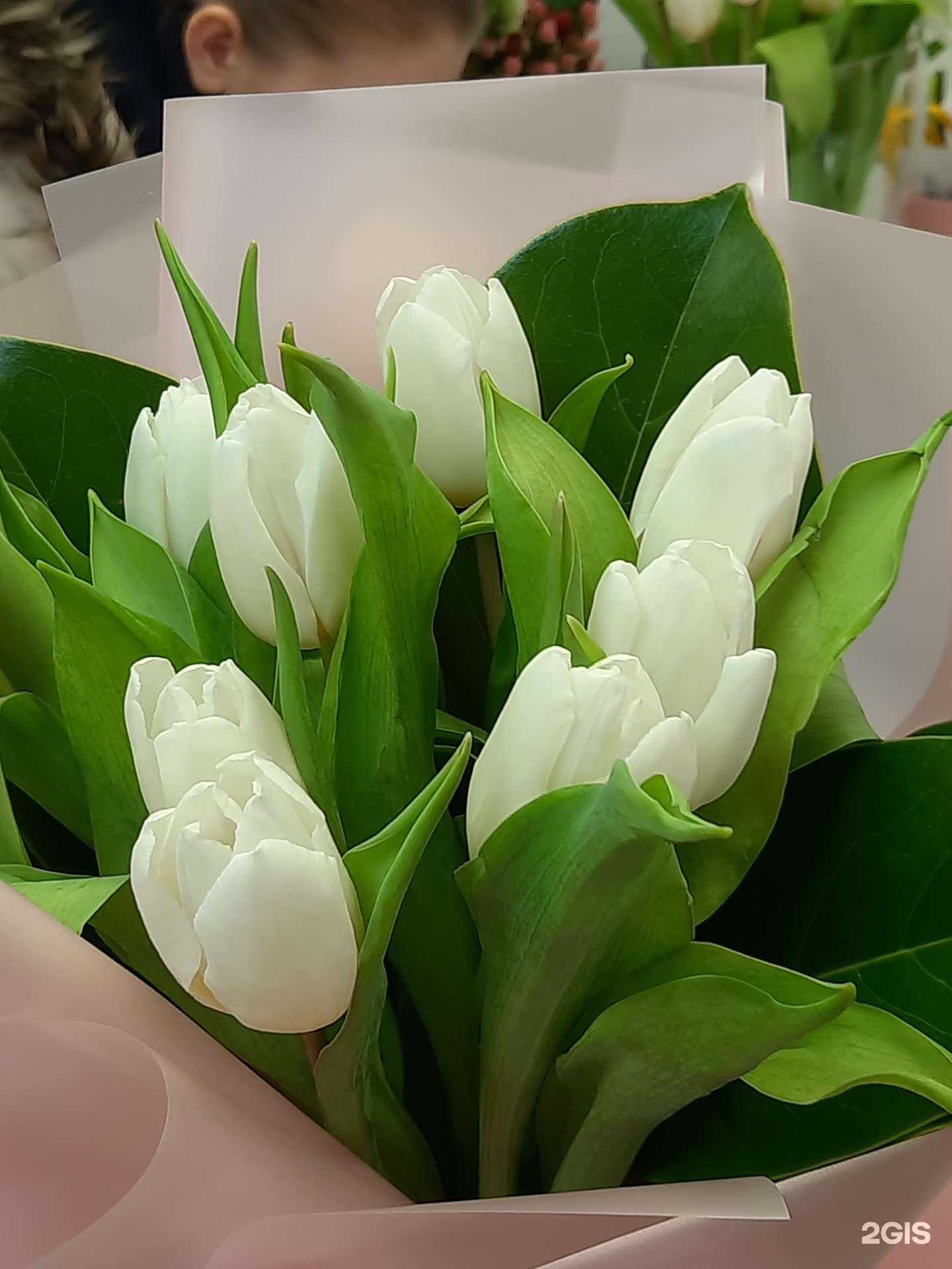 Отзывы на компанию Жарден в г. Екатеринбург c фото