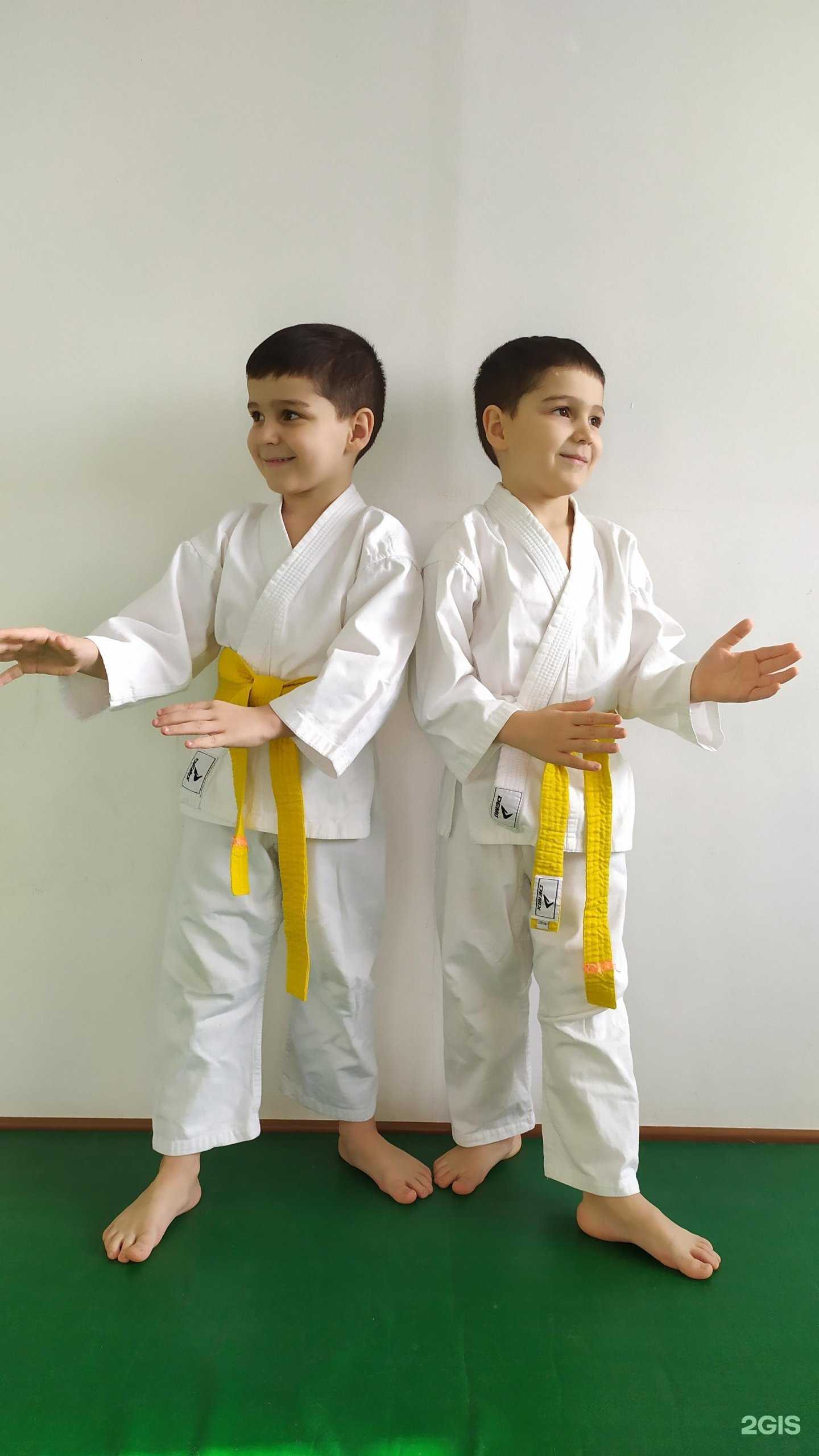 Отзывы на компанию Нижнетагильская школа Айкидо Айкикай в г. Нижний Тагил c фото