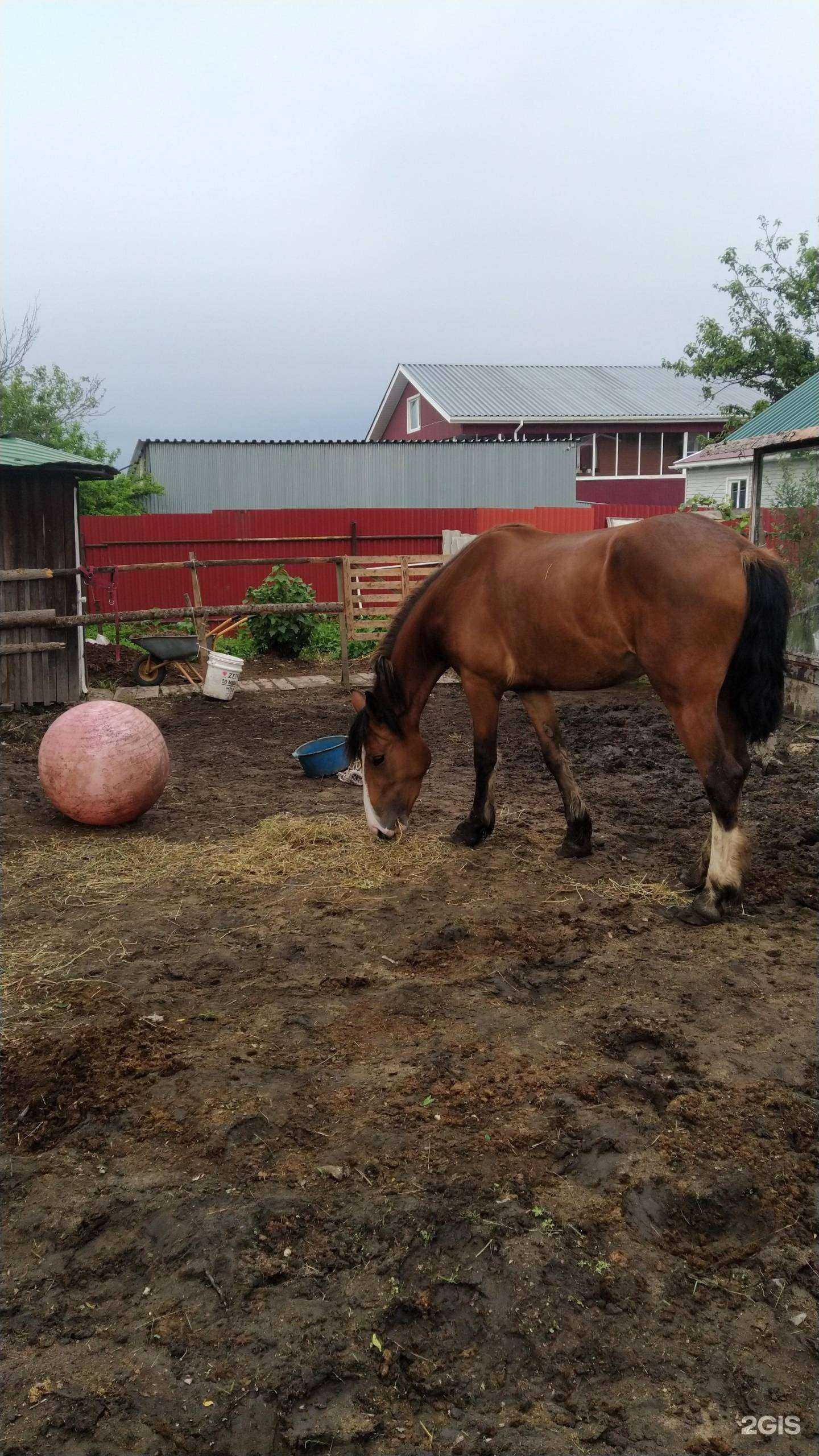 Отзывы на компанию Зарница в г. Хабаровск c фото