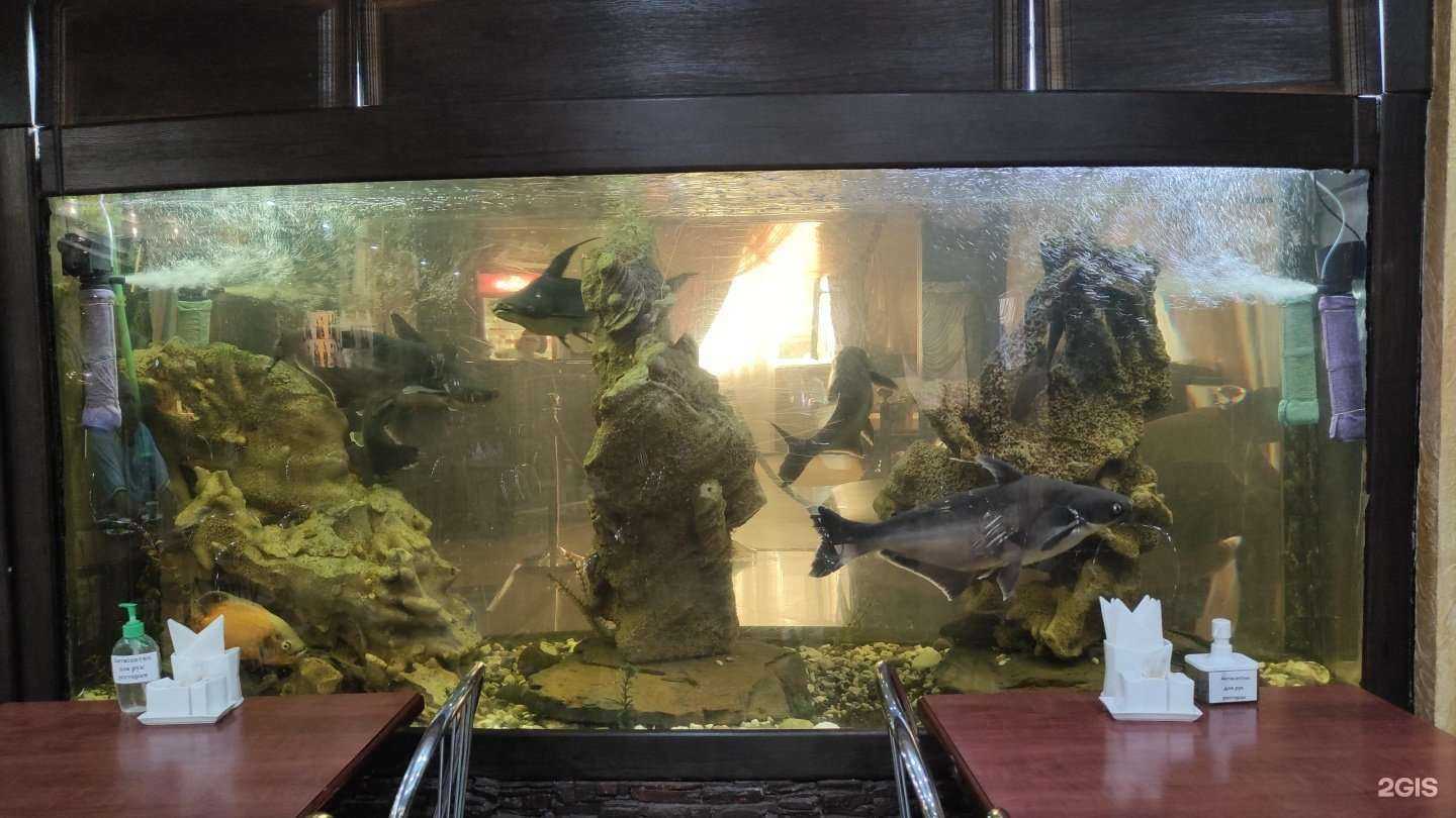 Отзывы на компанию Арт сити в Волгодонске c фото