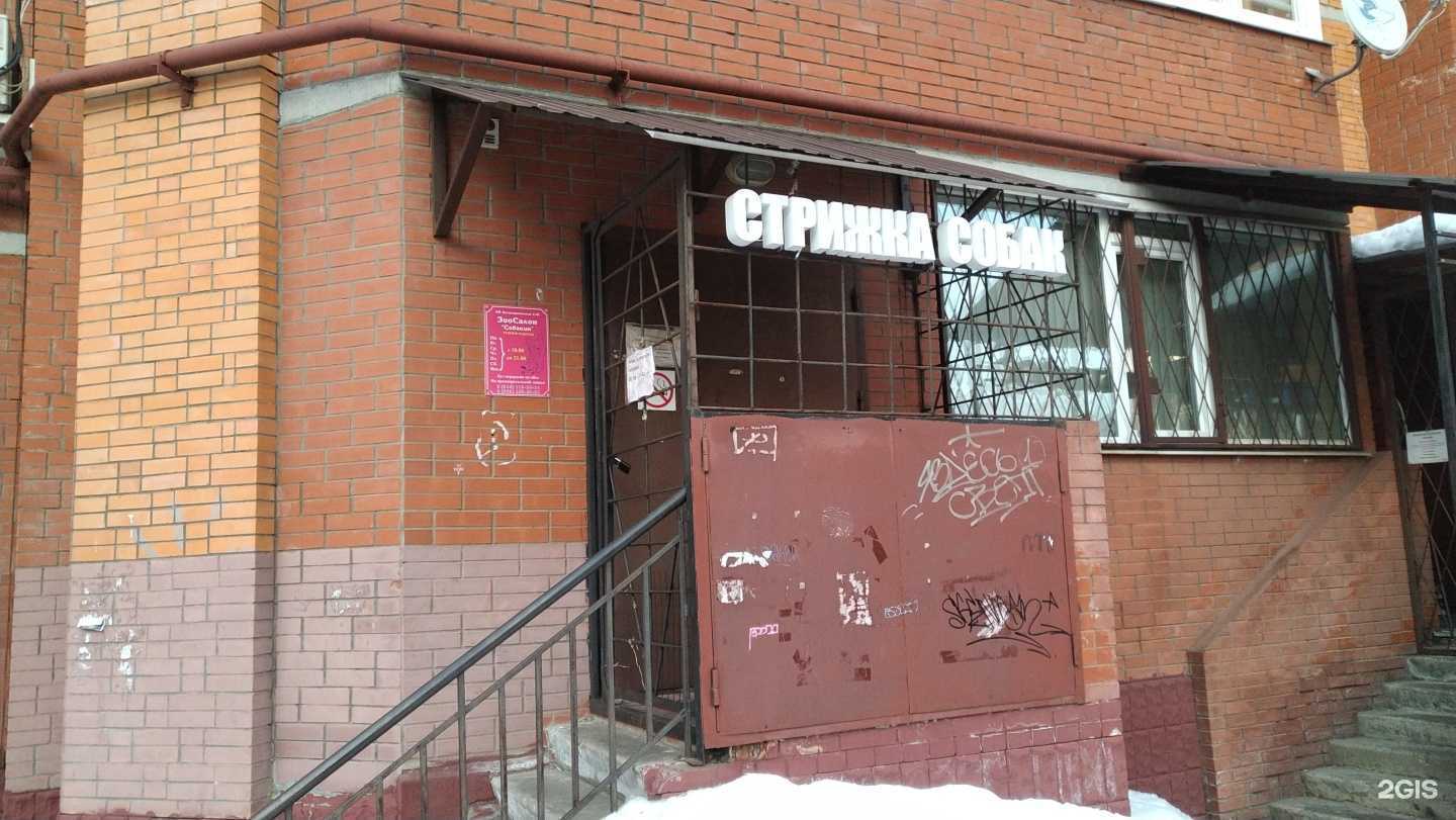 Отзывы на компанию Собакин в г. Балашиха c фото