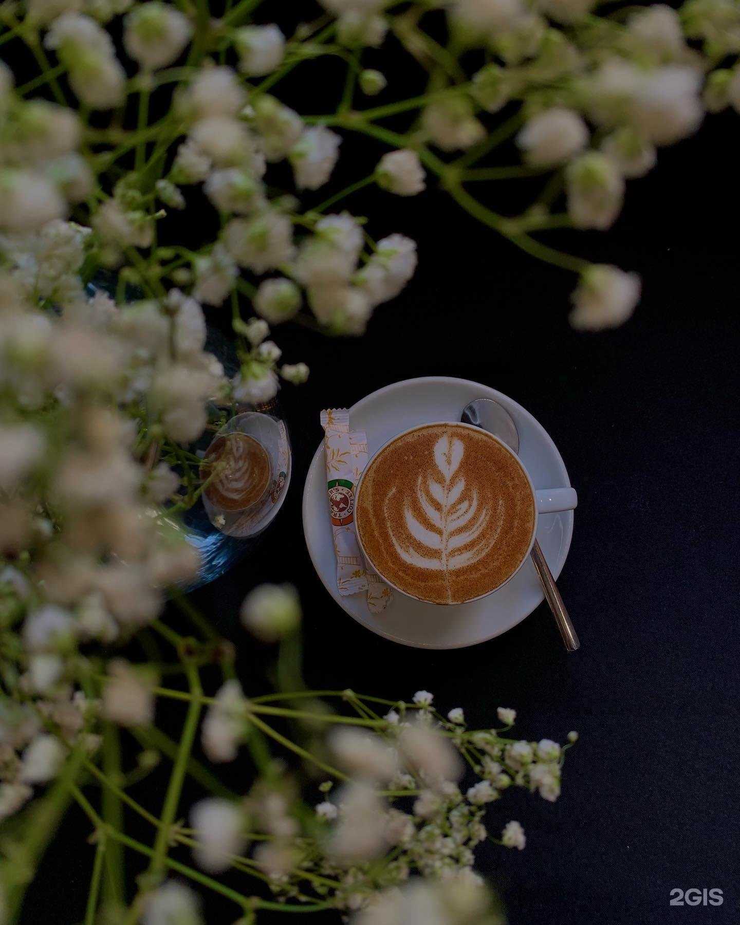 Отзывы на компанию Traveler`s Coffee в Улан-Удэ c фото