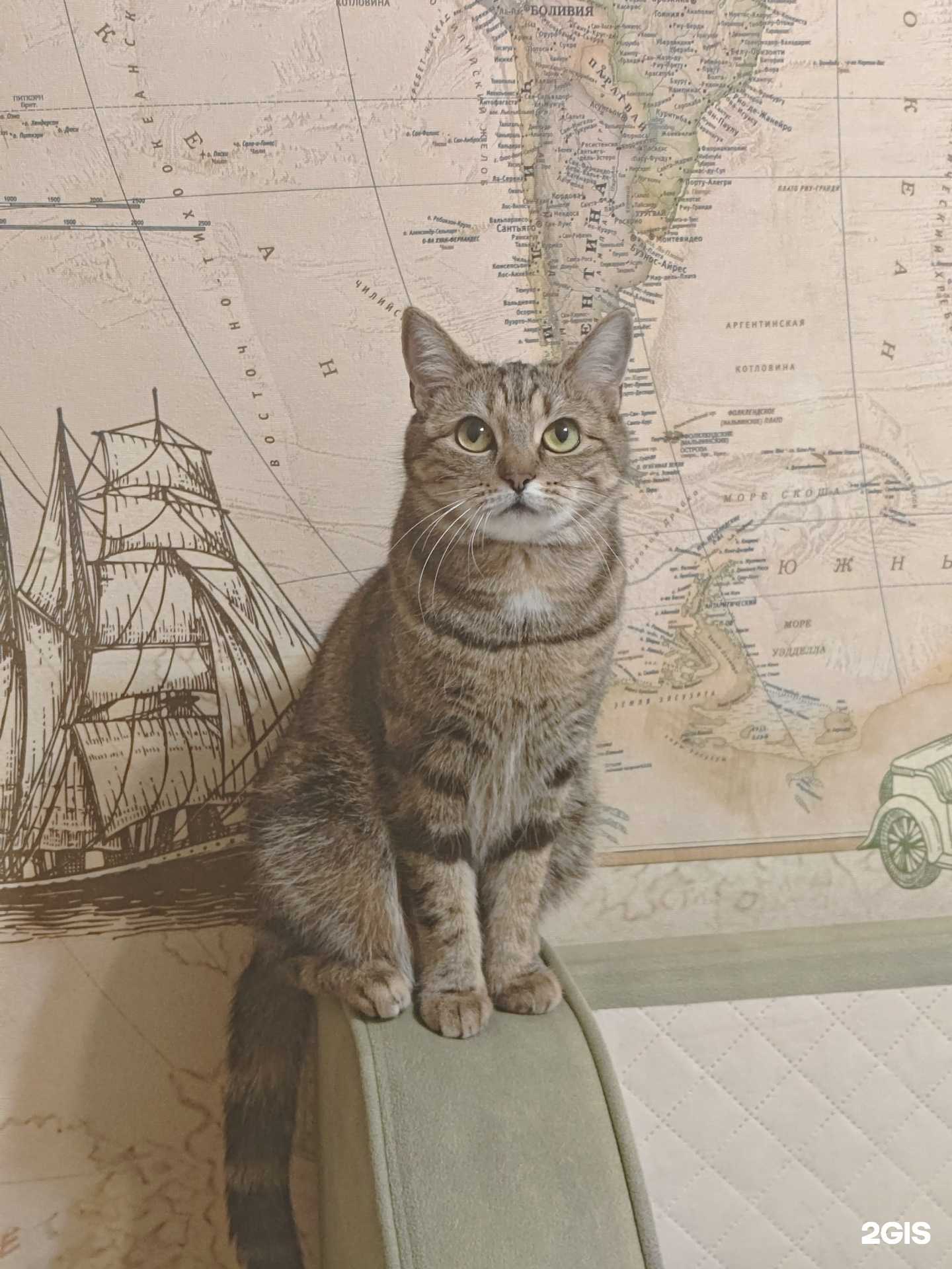 Отзывы на компанию Забота в г. Уфа c фото