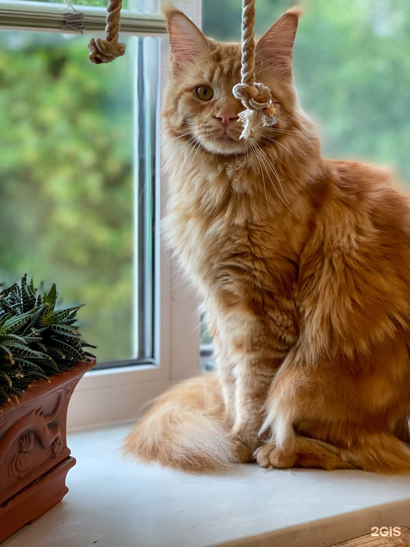 Отзывы на компанию Альфа в г. Липецк c фото