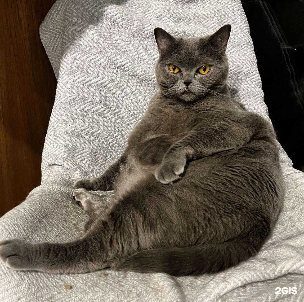 Отзывы на компанию Захаров и Фарафонтова в Калининграде c фото