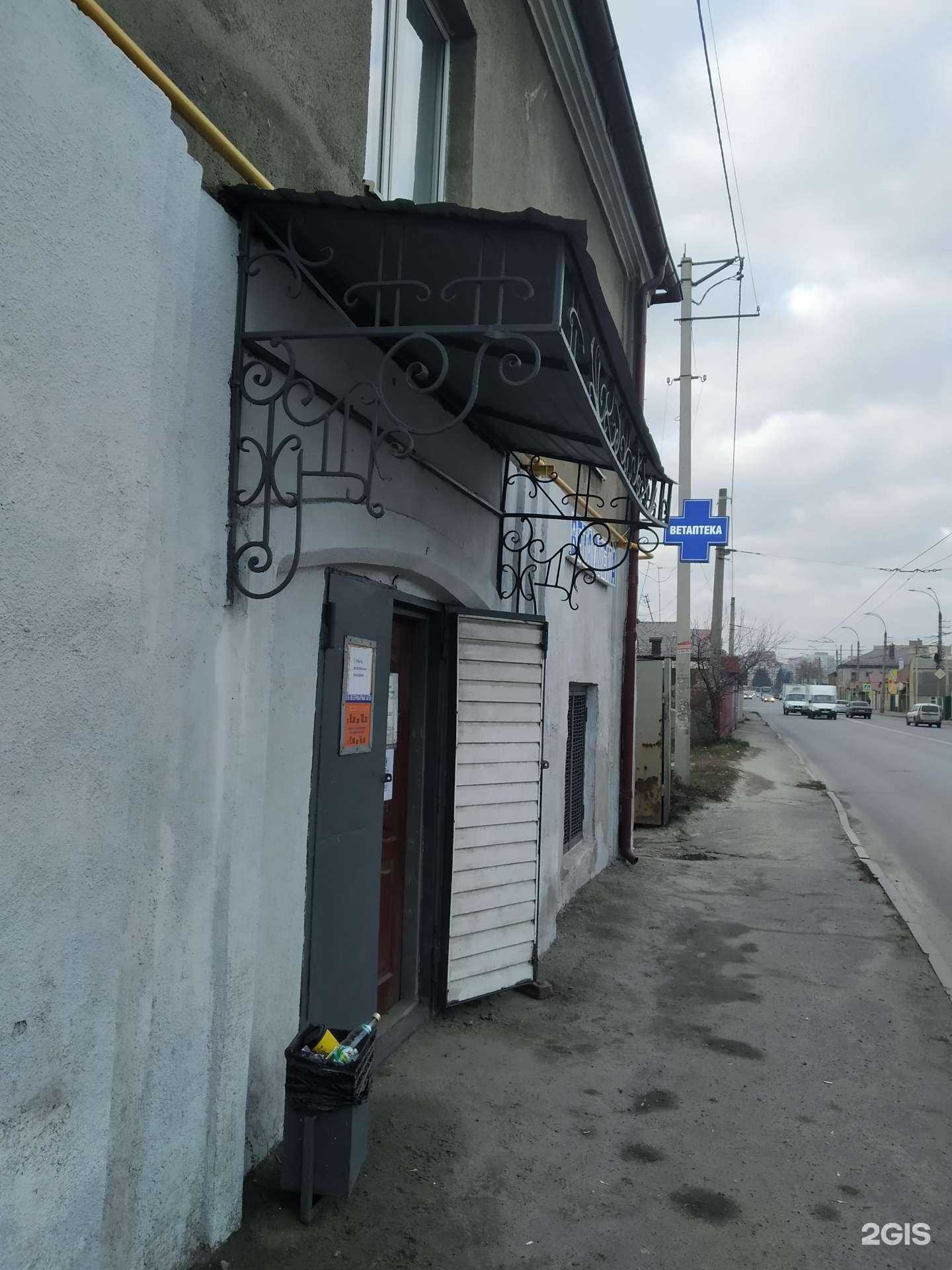 Отзывы на компанию Айболит-46 в Курске c фото