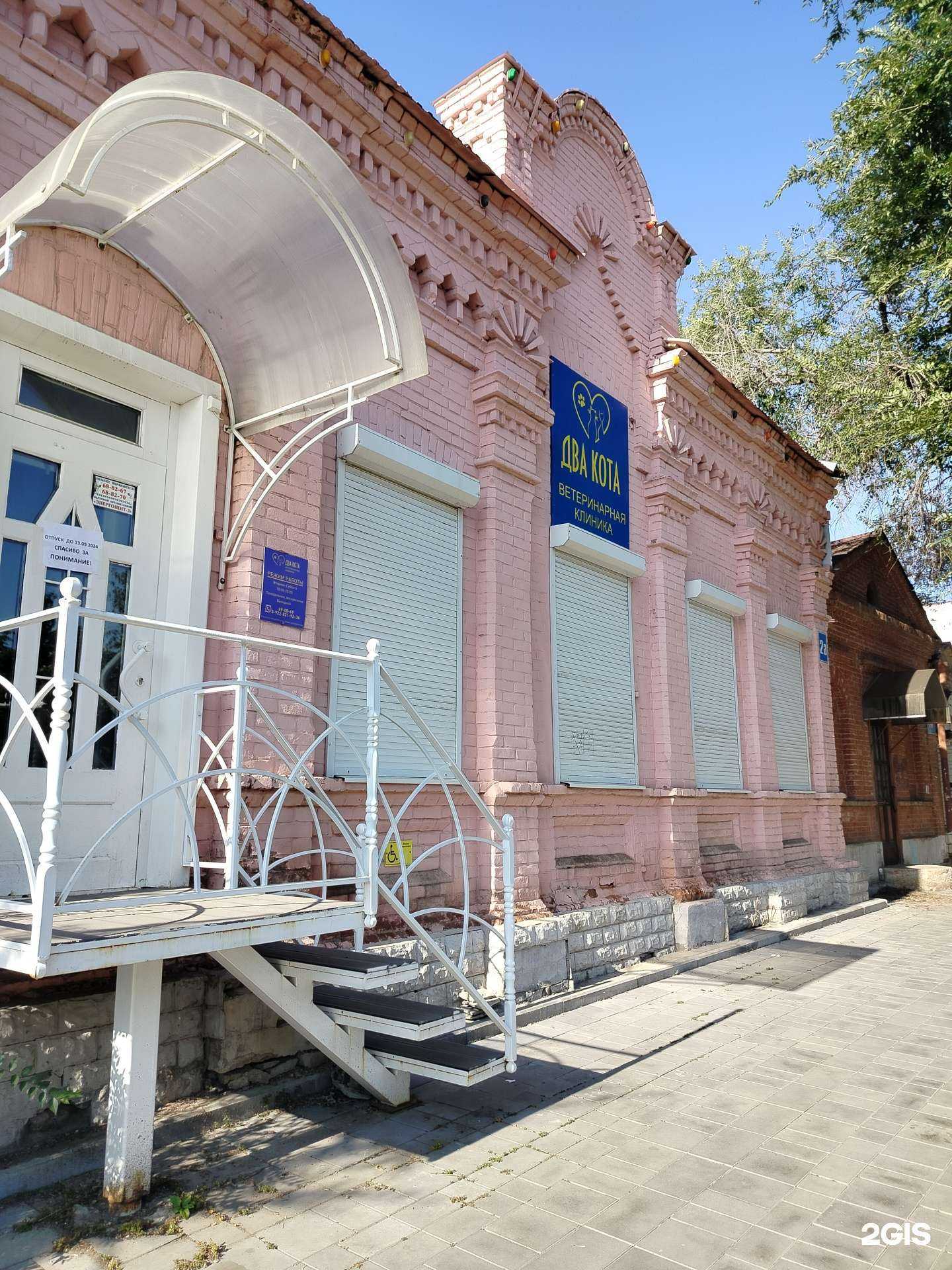 Отзывы на компанию Два кота в Оренбурге c фото - фотография 2 из 2