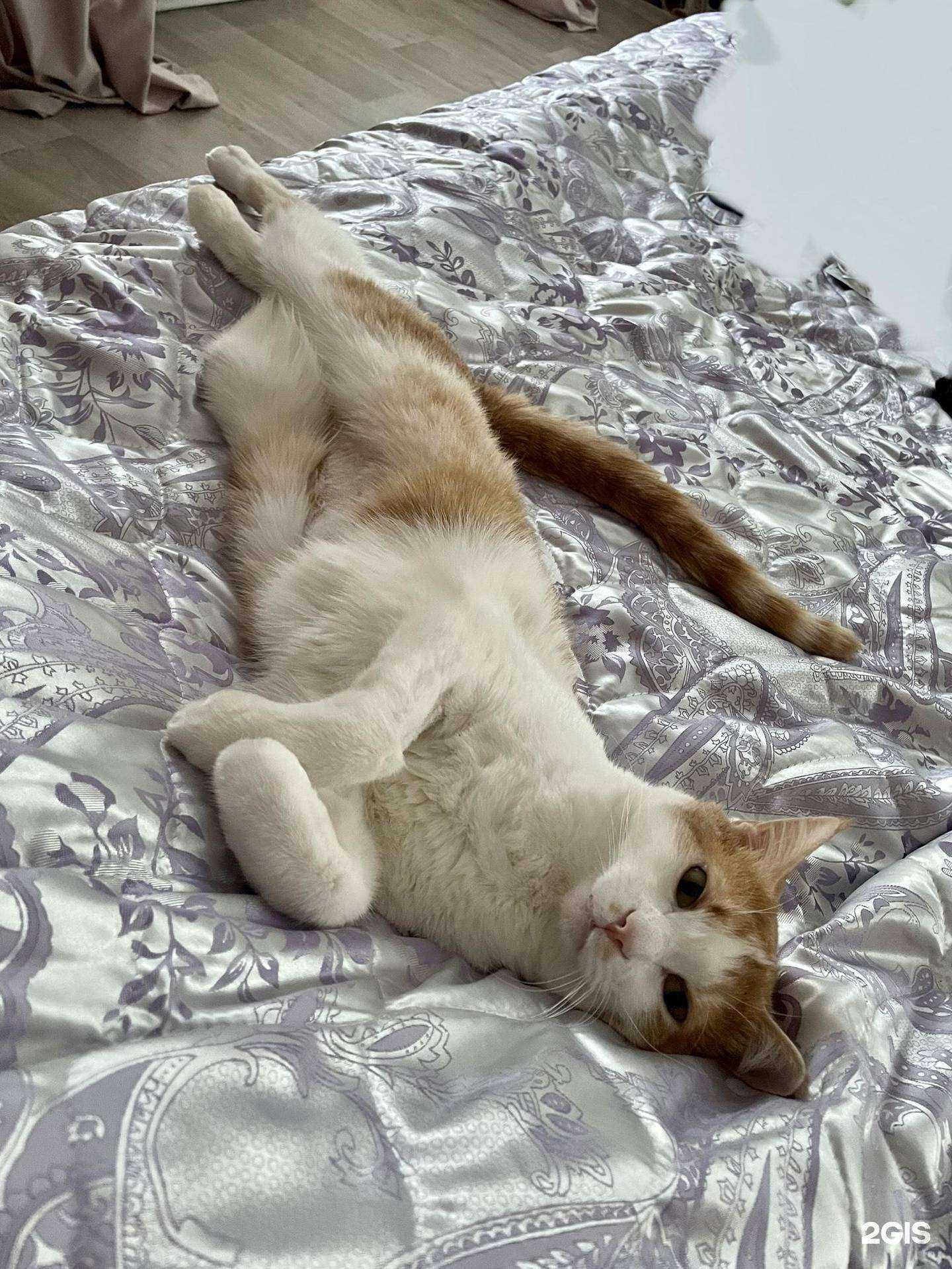 Отзывы на компанию Теремок Зоо в Первоуральске c фото