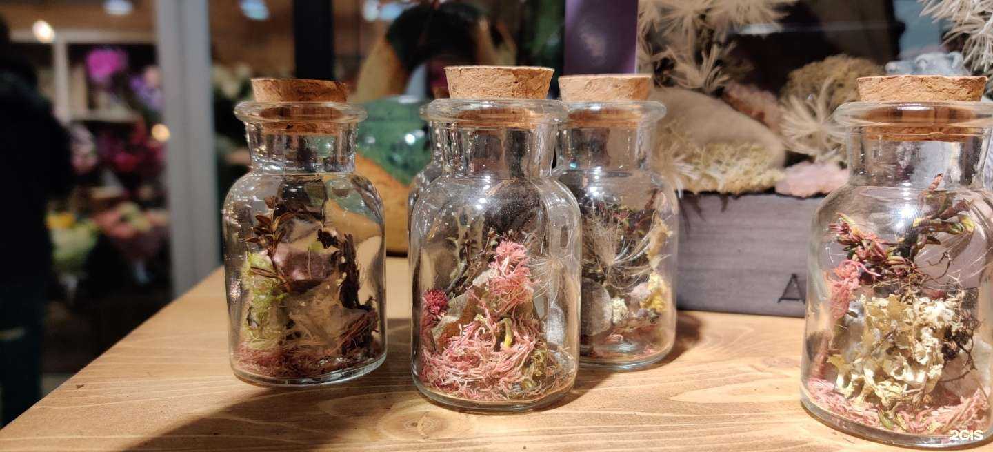 Отзывы на компанию Черника  в г. Мурманск c фото