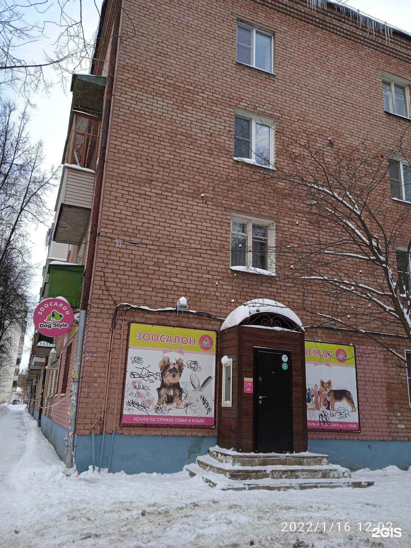 Отзывы на компанию Дог Стайл в Ярославле c фото - фотография 2 из 2