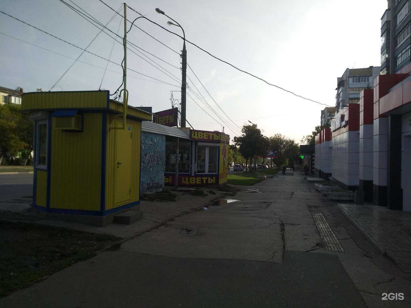 Отзывы на компанию Яр в Самаре c фото