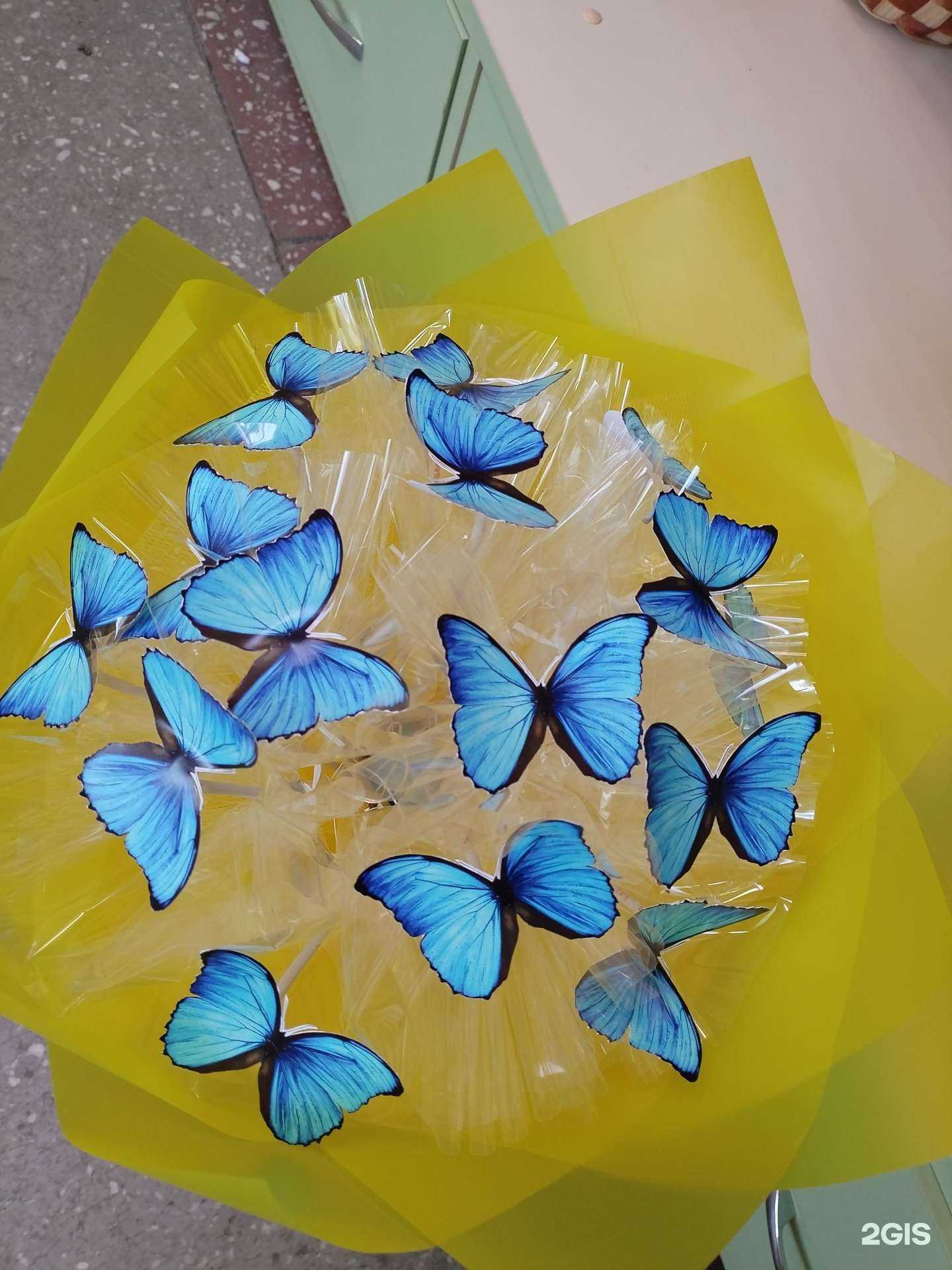 Отзывы на компанию Violet в г. Прокопьевск c фото