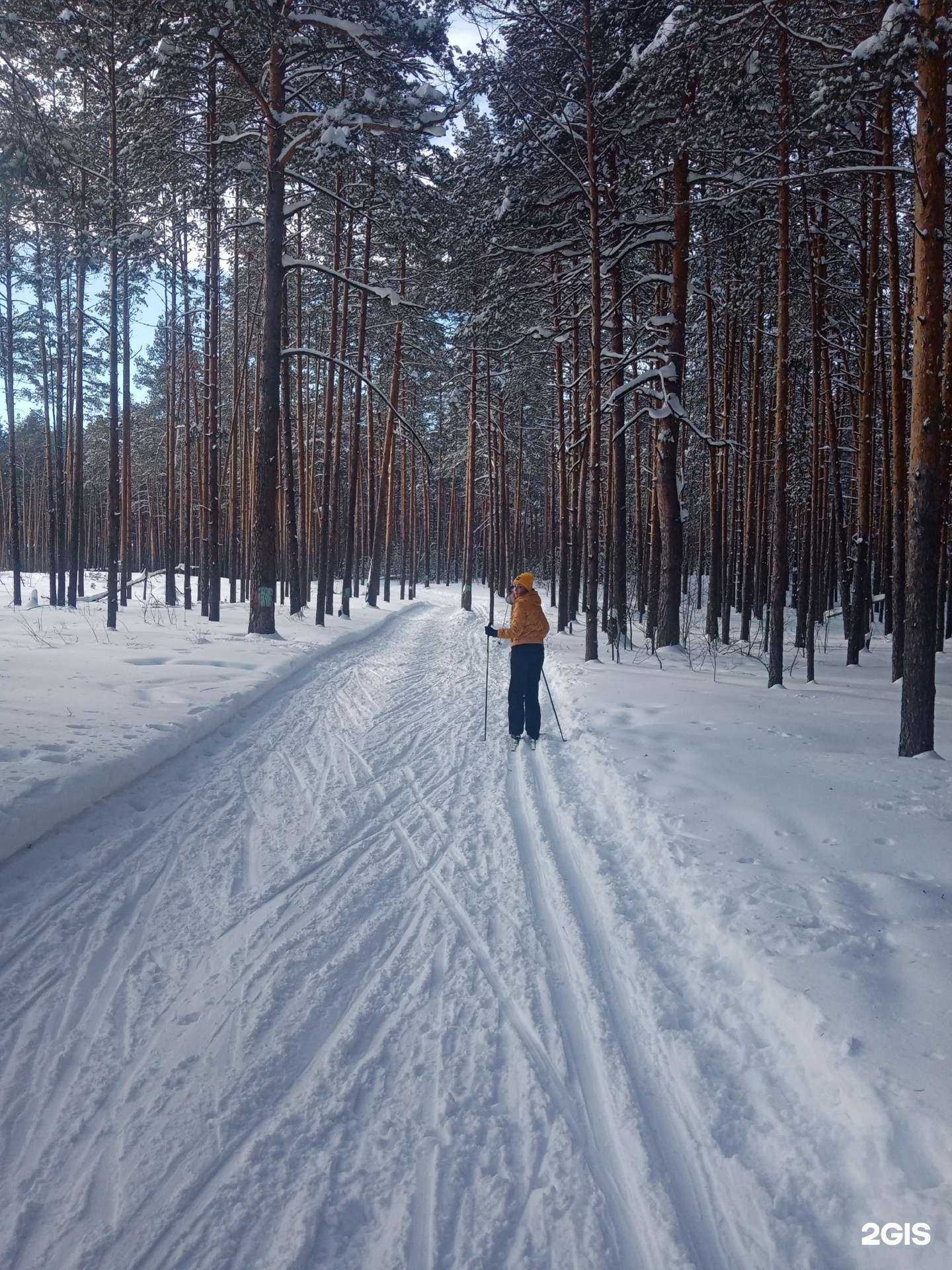 Отзывы на компанию Олень в Нижнем Новгороде c фото