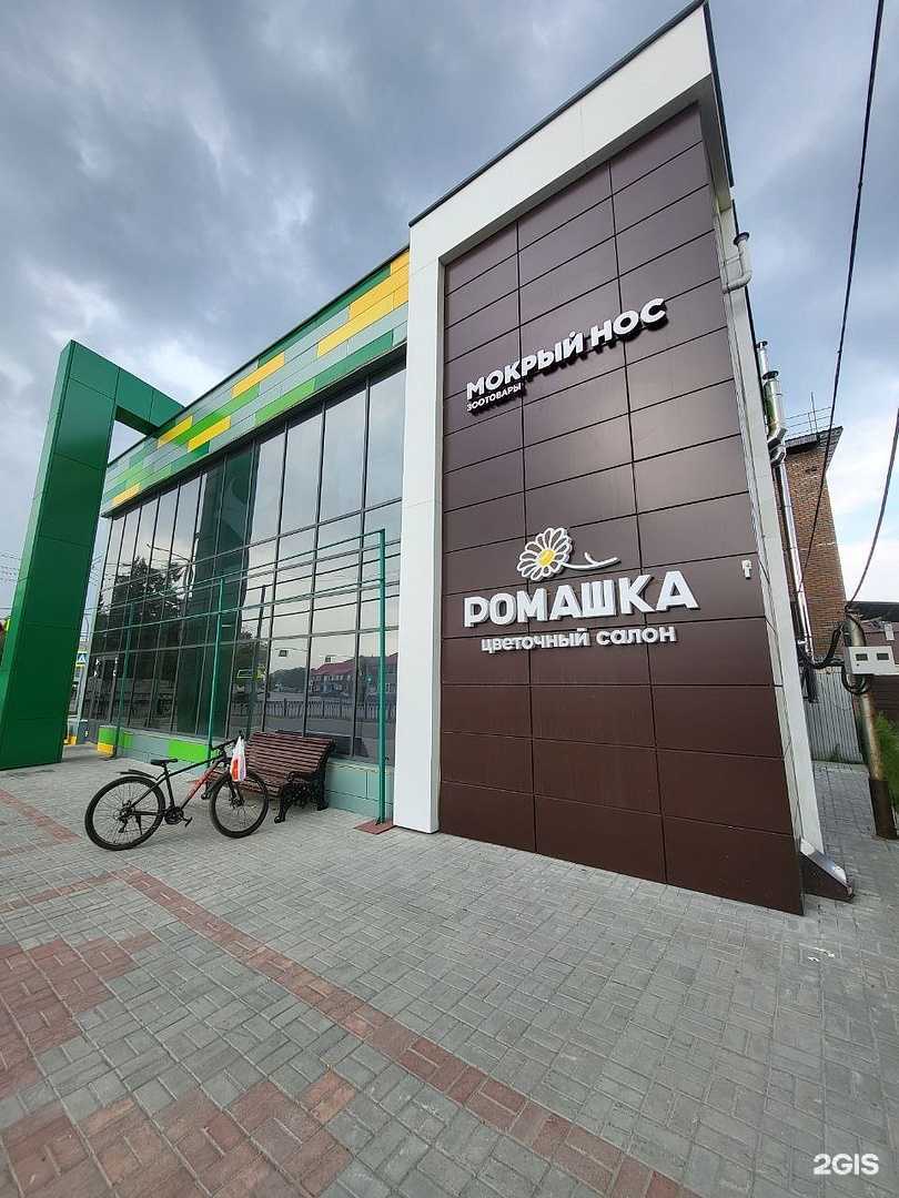 Отзывы на компанию Мокрый нос в Тарко-Сале c фото