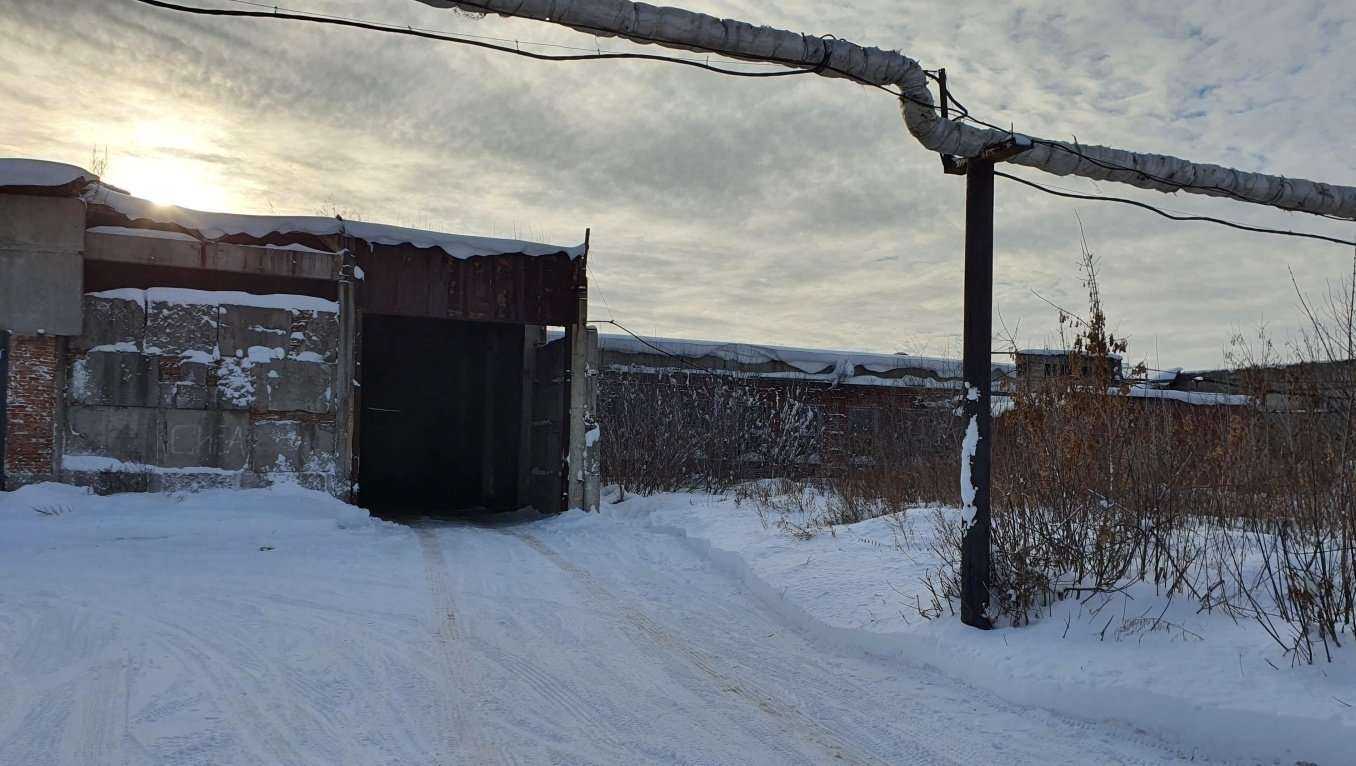 Отзывы на компанию Сиба в Кемерове c фото