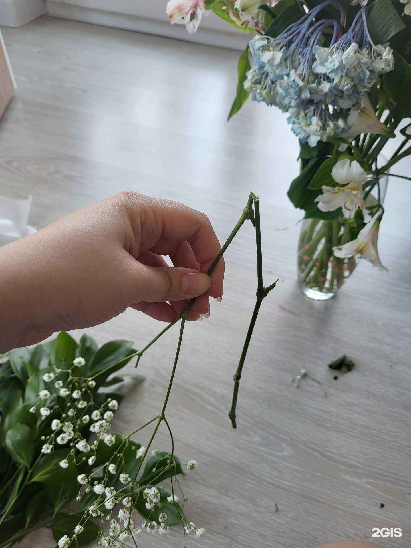 Отзывы на компанию Леди Босс в Новороссийске c фото - фотография 2 из 2