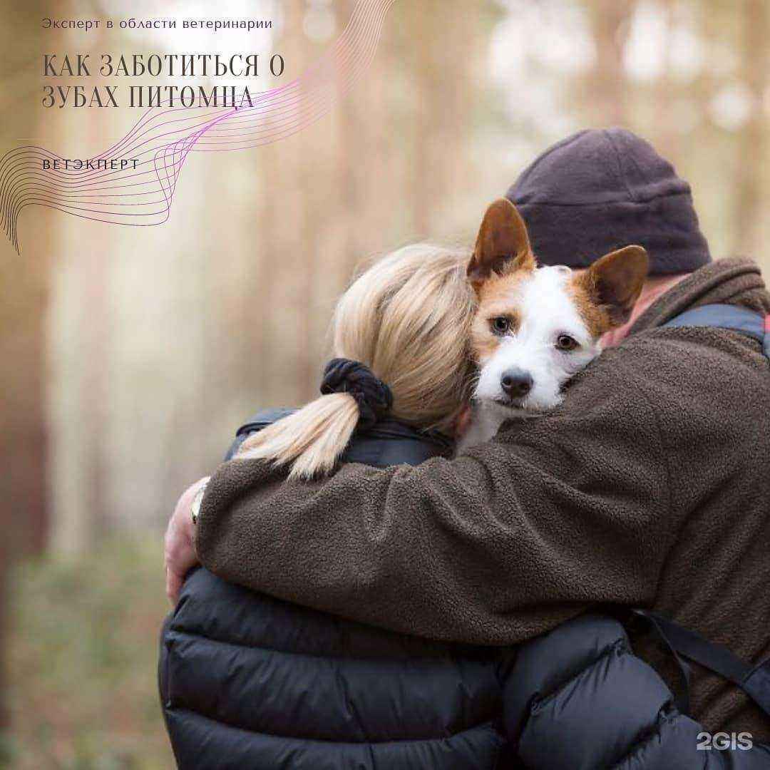 Отзывы на компанию ВетЭксперт в г. Барнаул c фото